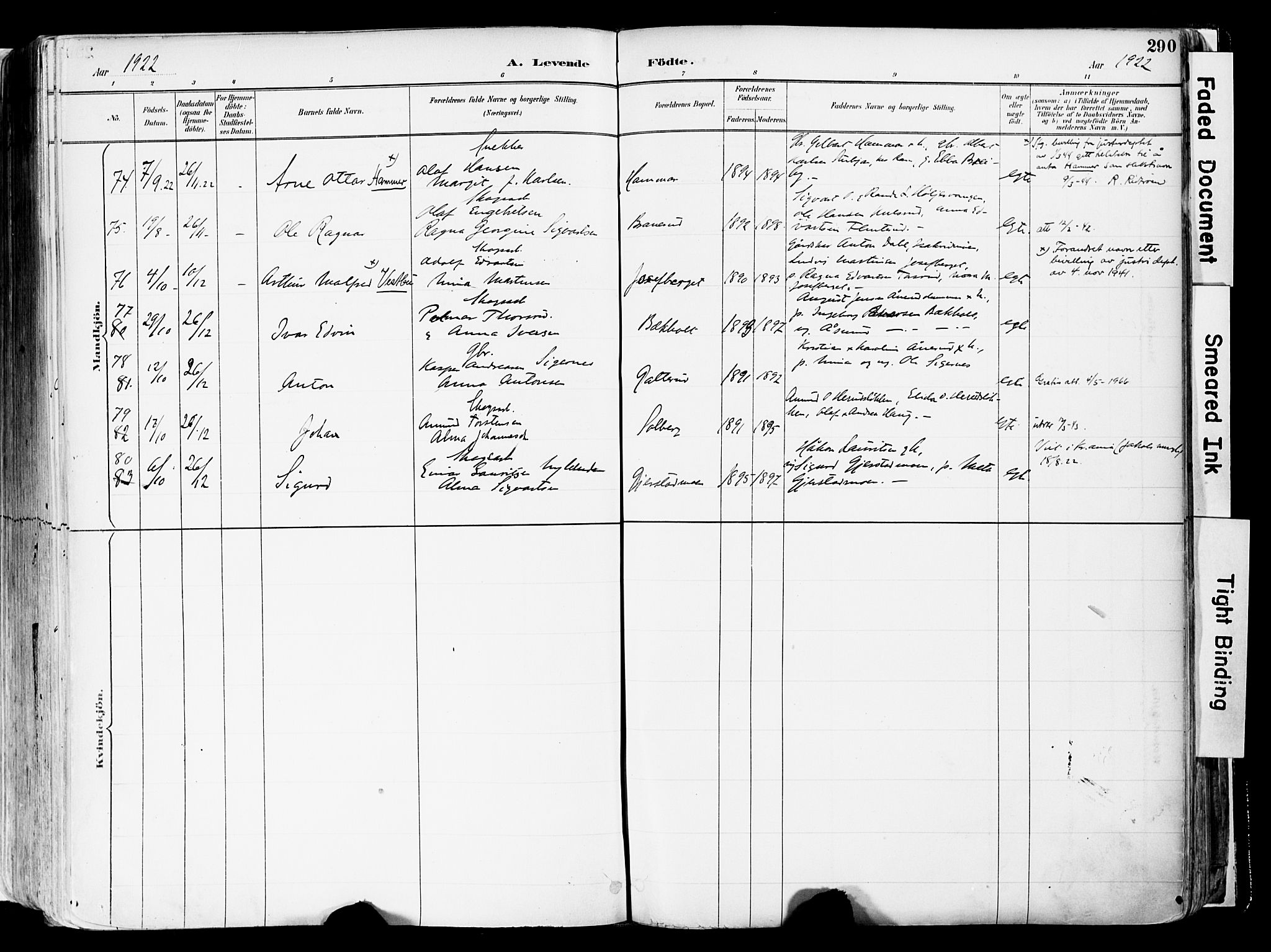 Sør-Odal prestekontor, AV/SAH-PREST-030/H/Ha/Haa/L0006: Ministerialbok nr. 6, 1886-1931, s. 290