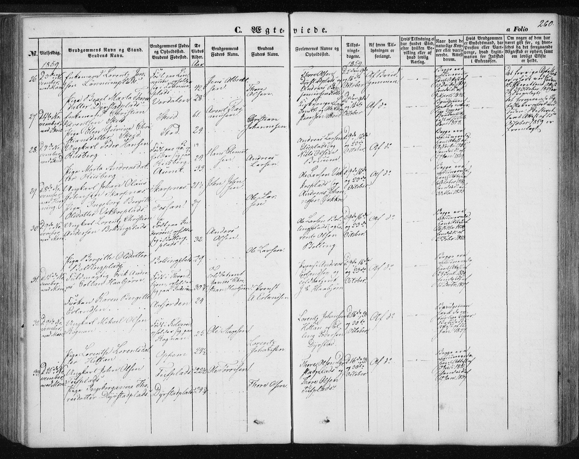 Ministerialprotokoller, klokkerbøker og fødselsregistre - Nord-Trøndelag, AV/SAT-A-1458/735/L0342: Ministerialbok nr. 735A07 /1, 1849-1862, s. 260