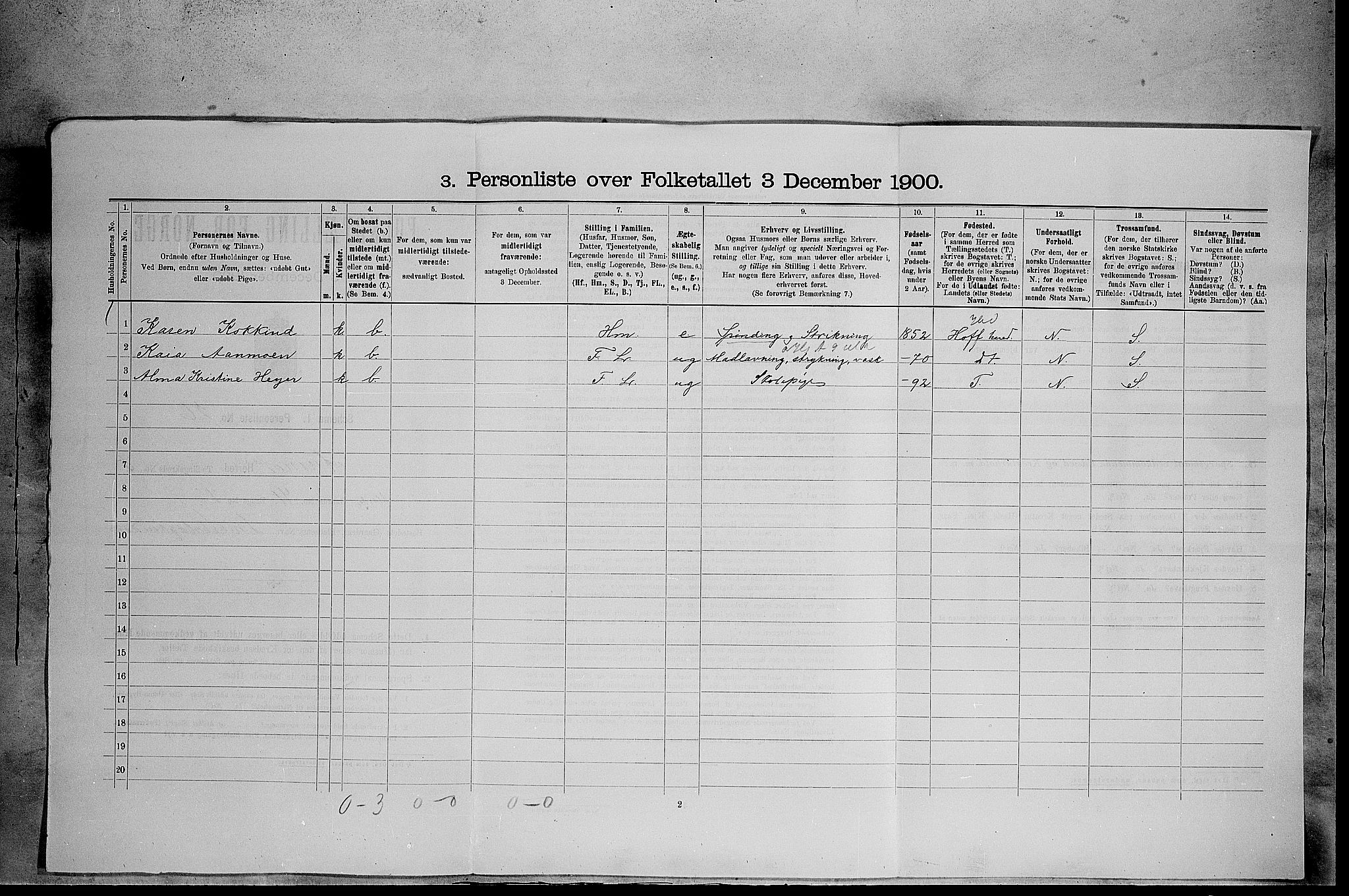 SAH, Folketelling 1900 for 0425 Åsnes herred, 1900, s. 904