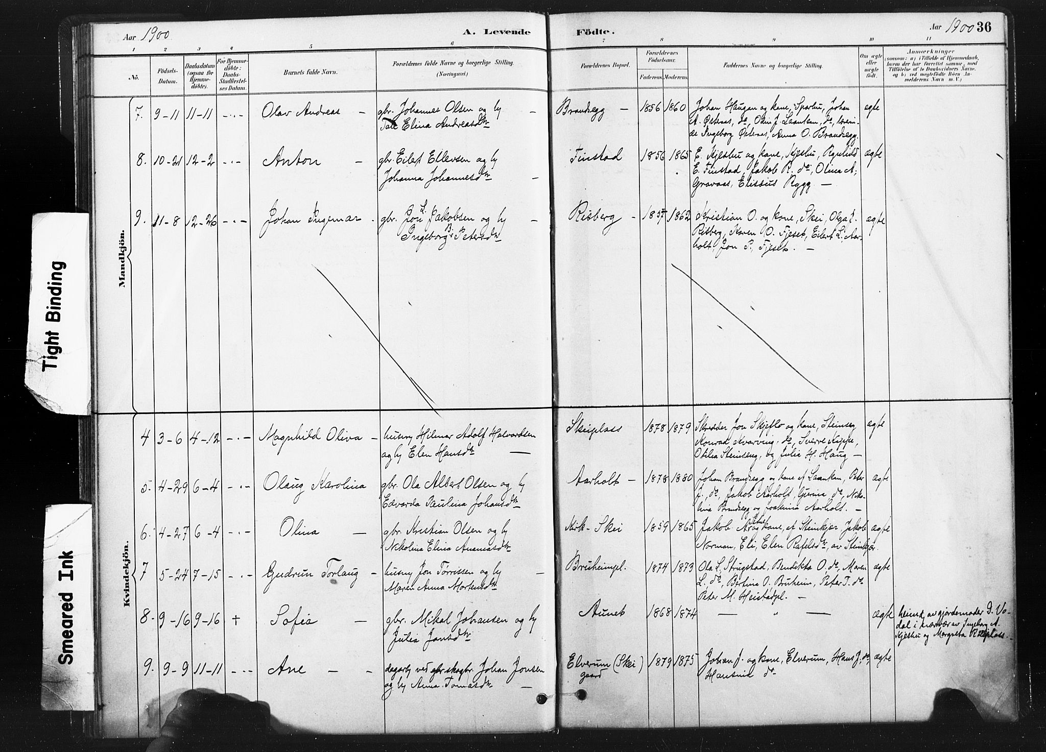 Ministerialprotokoller, klokkerbøker og fødselsregistre - Nord-Trøndelag, SAT/A-1458/736/L0361: Ministerialbok nr. 736A01, 1884-1906, s. 36