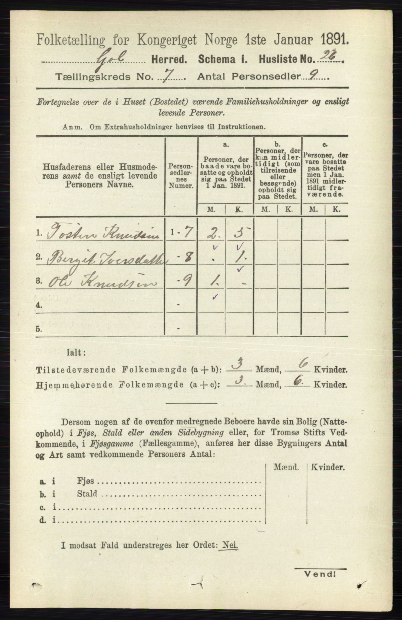 RA, Folketelling 1891 for 0617 Gol og Hemsedal herred, 1891, s. 2797