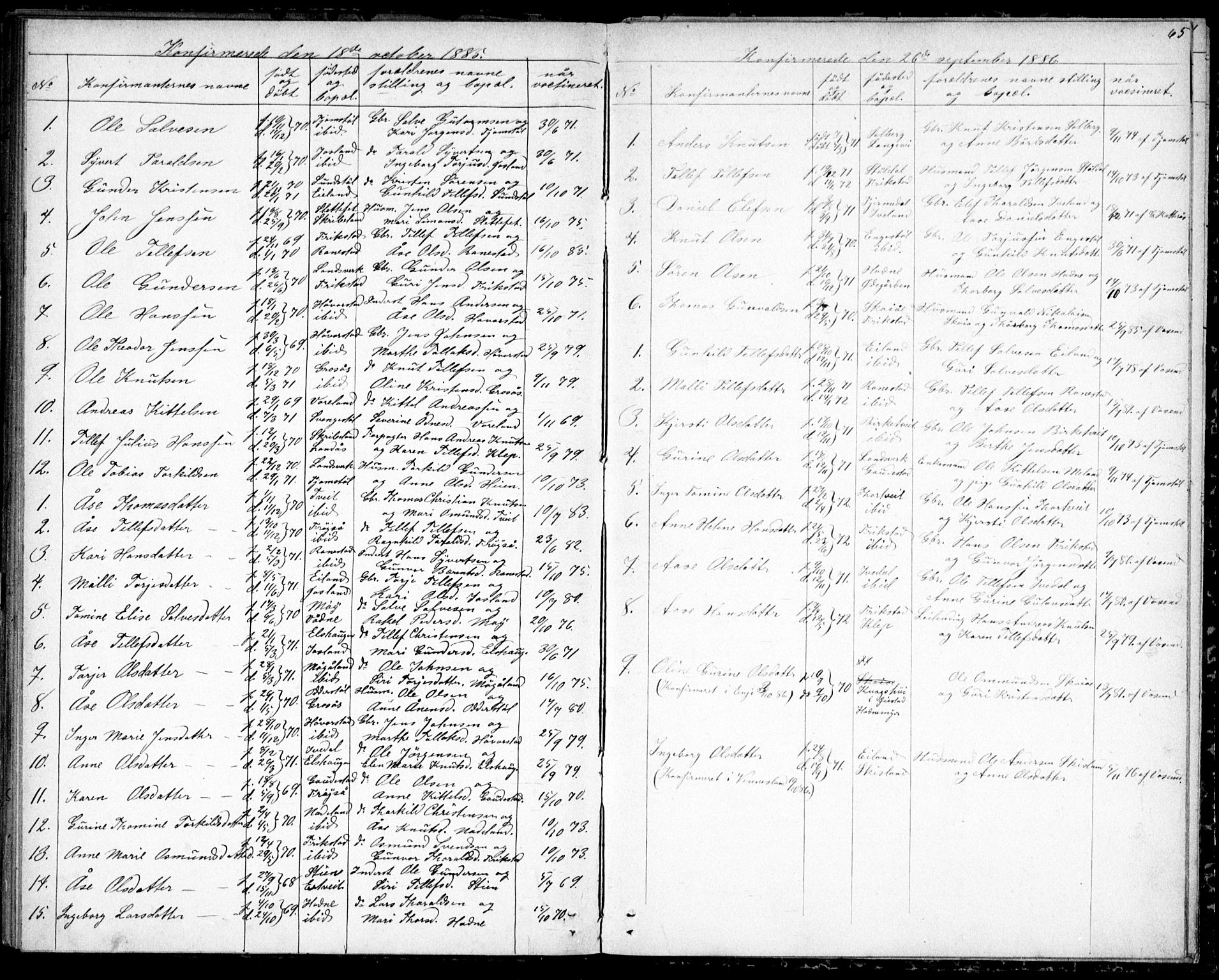 Evje sokneprestkontor, AV/SAK-1111-0008/F/Fb/Fbc/L0003: Klokkerbok nr. B 3, 1876-1889, s. 65