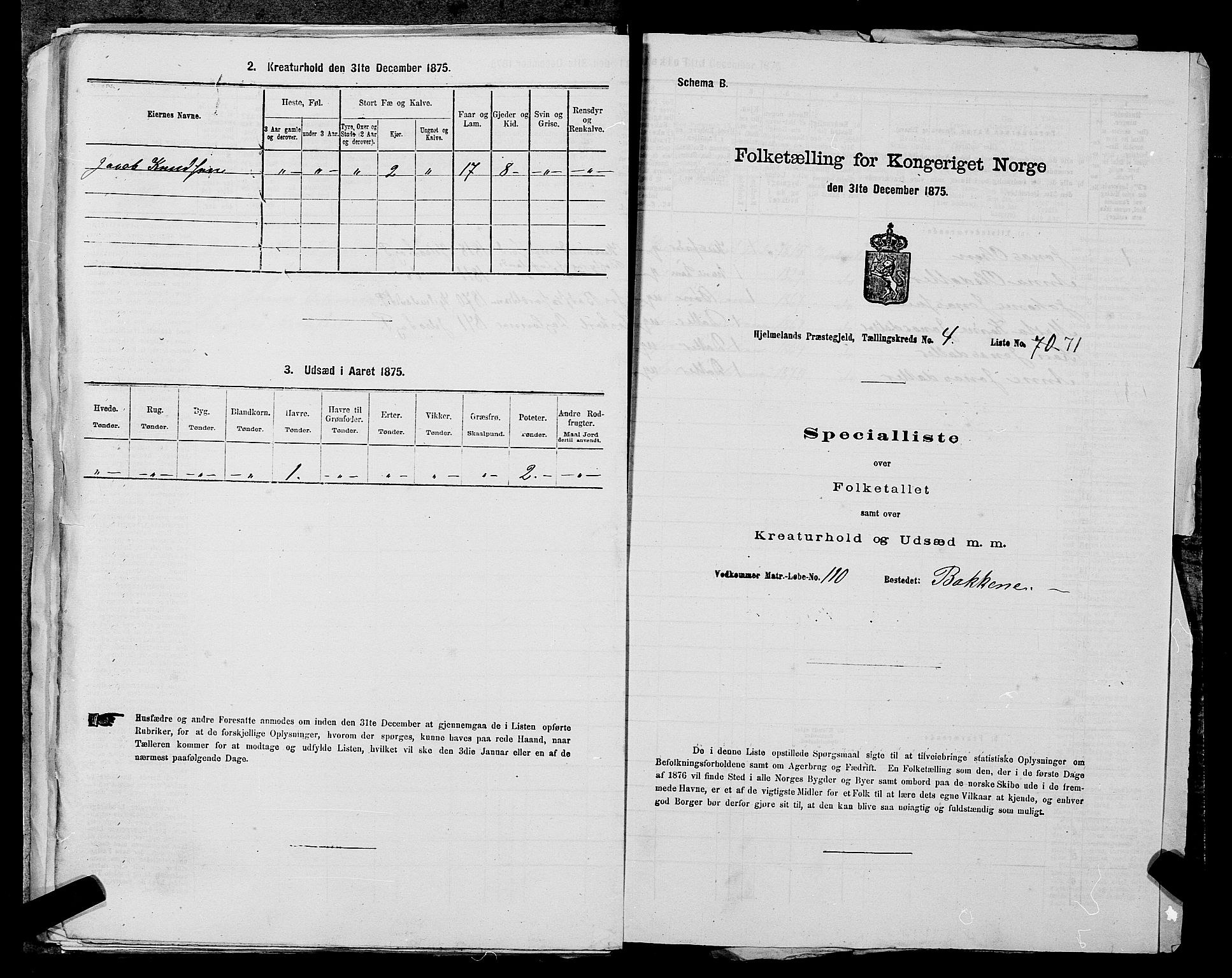 SAST, Folketelling 1875 for 1133P Hjelmeland prestegjeld, 1875, s. 573