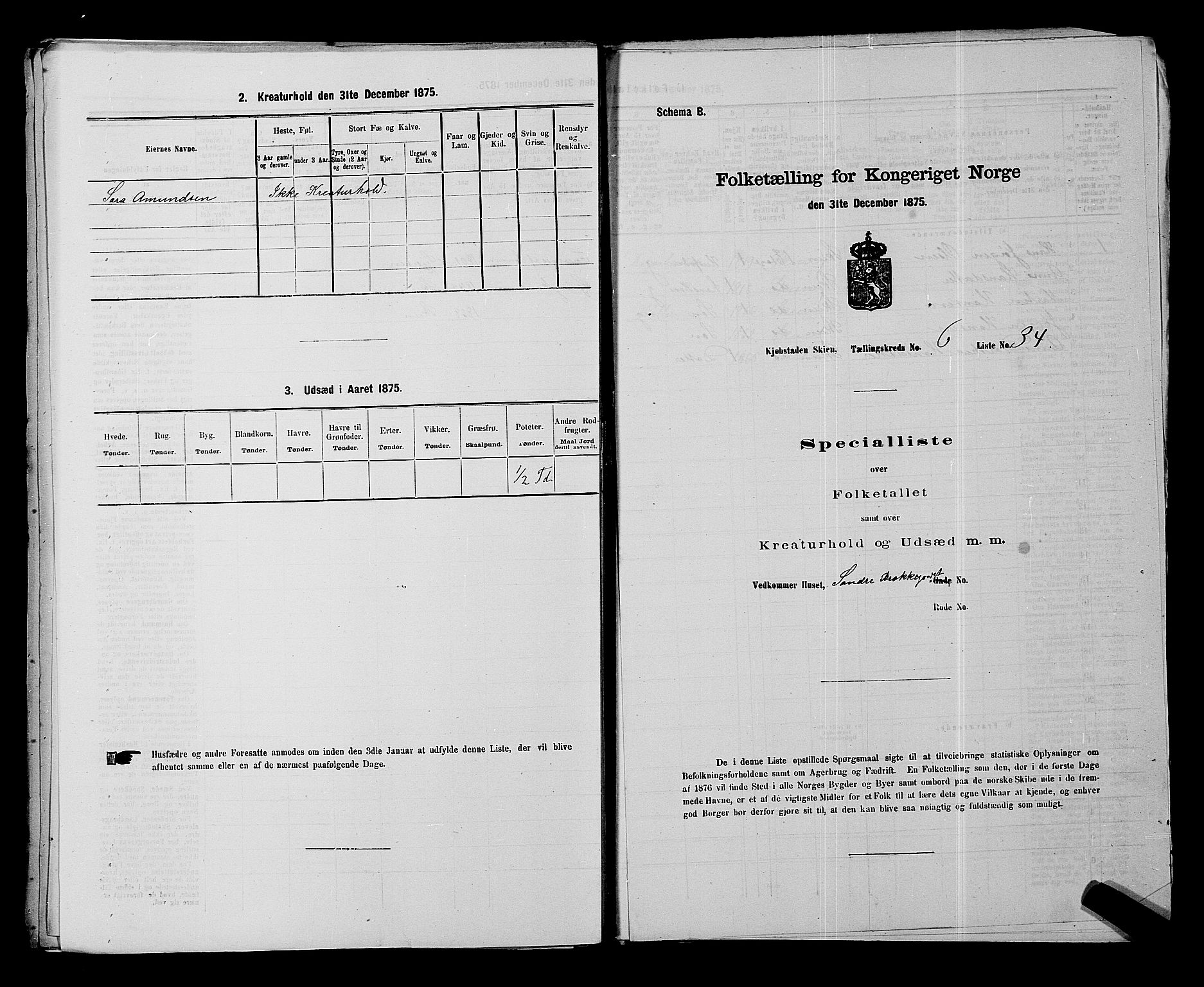 SAKO, Folketelling 1875 for 0806P Skien prestegjeld, 1875, s. 1031