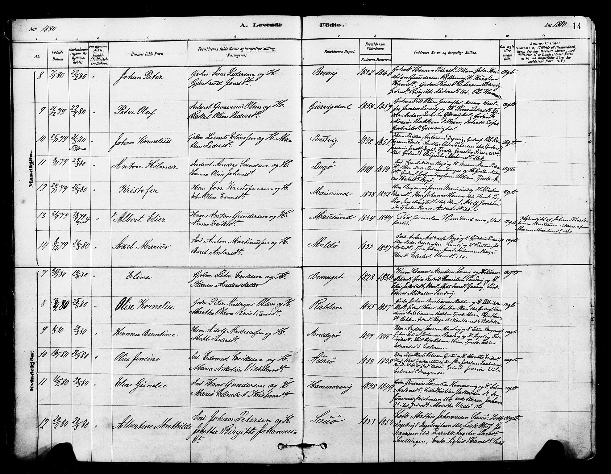 Ministerialprotokoller, klokkerbøker og fødselsregistre - Sør-Trøndelag, SAT/A-1456/640/L0578: Ministerialbok nr. 640A03, 1879-1889, s. 14