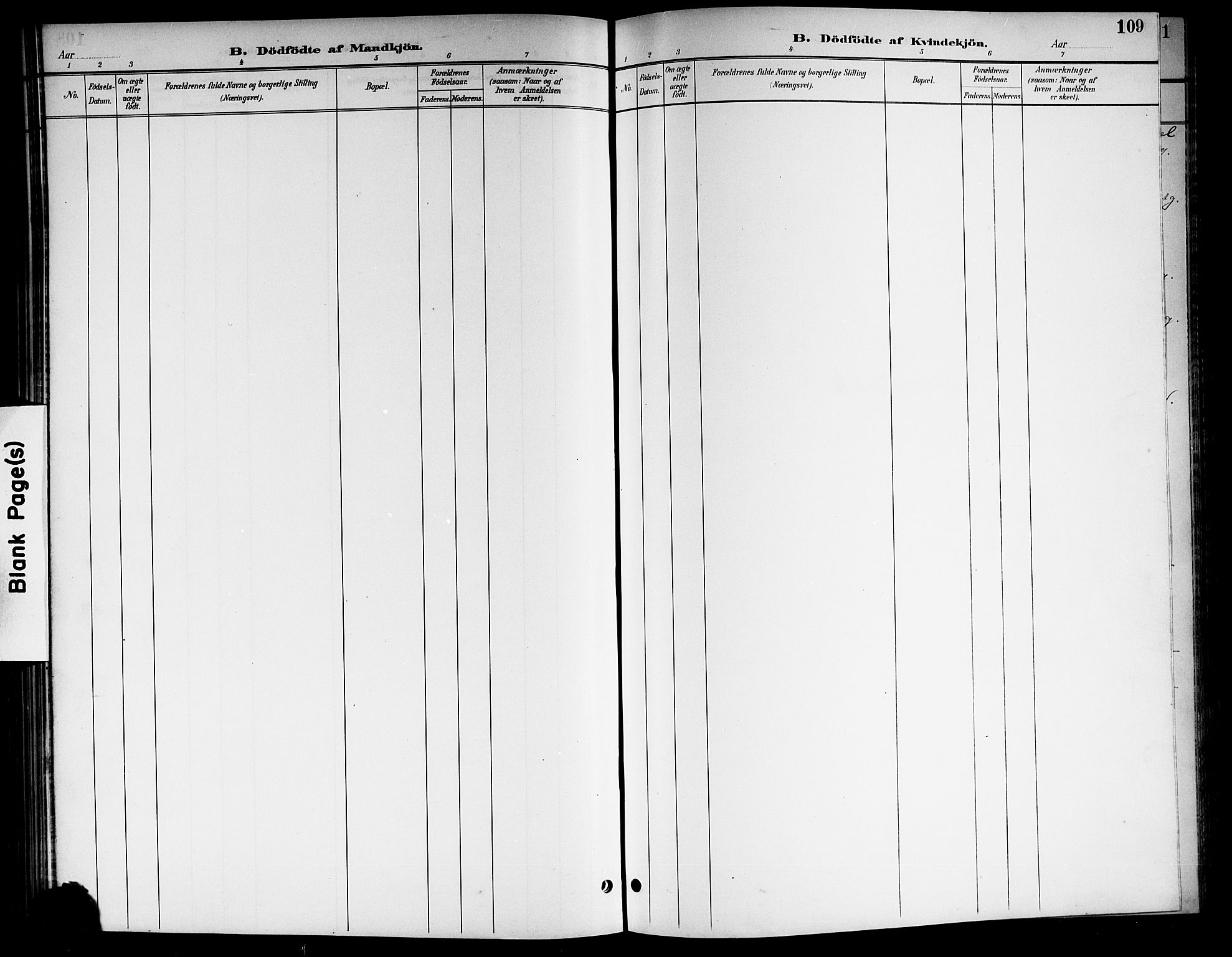 Nore kirkebøker, AV/SAKO-A-238/G/Gb/L0003: Klokkerbok nr. II 3, 1894-1923, s. 109