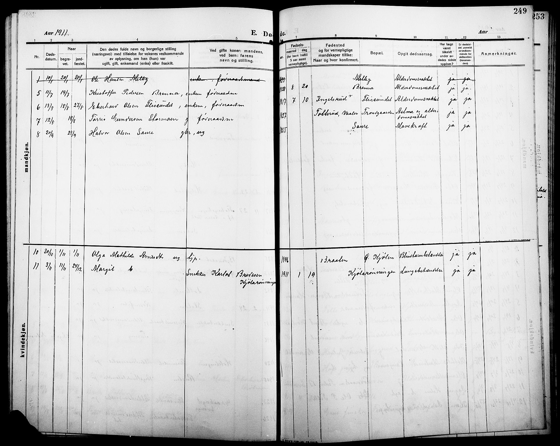Åsnes prestekontor, AV/SAH-PREST-042/H/Ha/Hab/L0007: Klokkerbok nr. 7, 1909-1926, s. 249