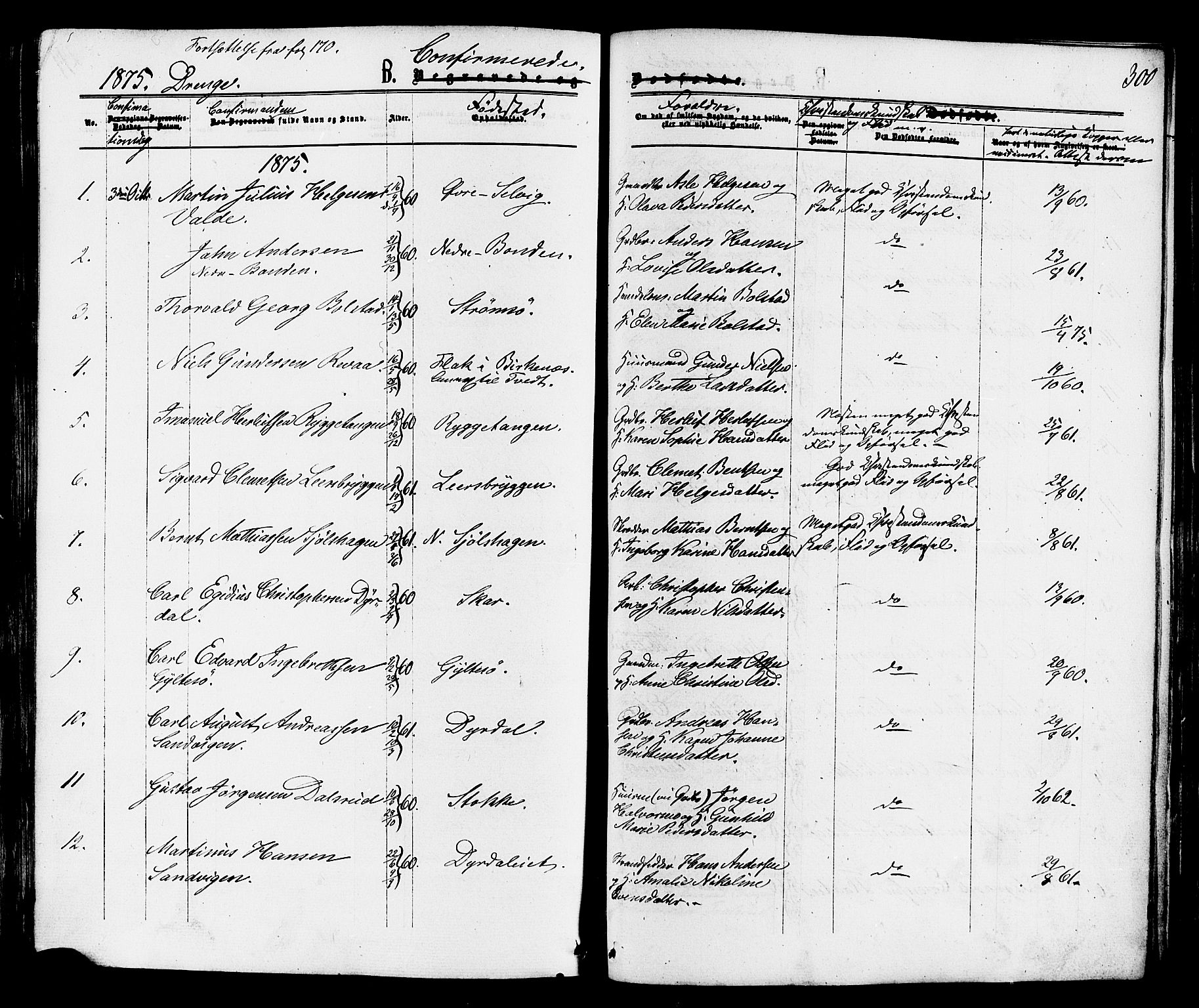 Sande Kirkebøker, AV/SAKO-A-53/F/Fa/L0005: Ministerialbok nr. 5, 1865-1877, s. 300