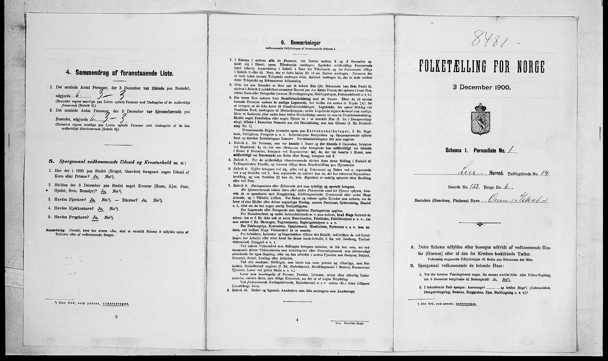 RA, Folketelling 1900 for 0626 Lier herred, 1900, s. 2271