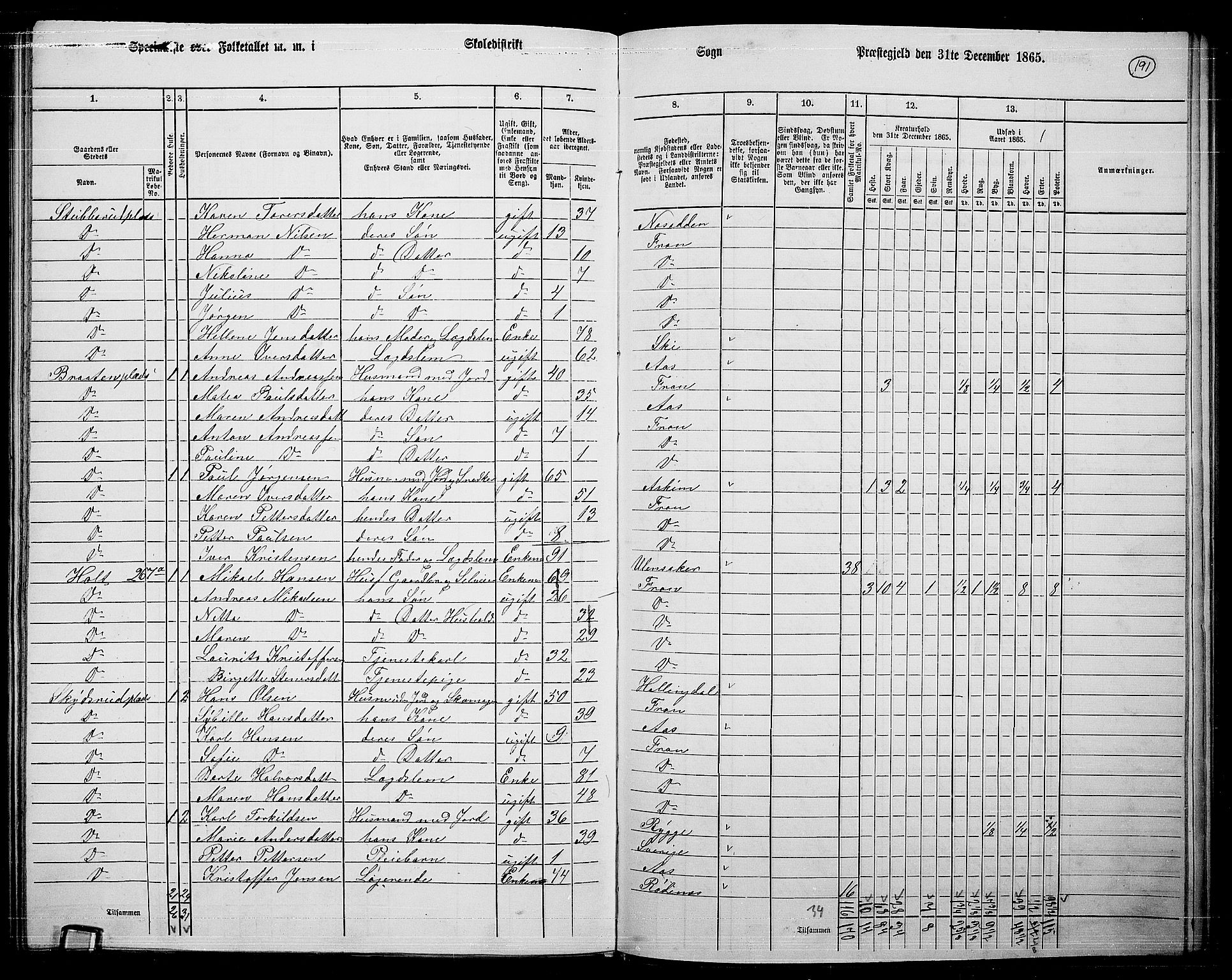 RA, Folketelling 1865 for 0215L Drøbak prestegjeld, Frogn sokn, 1865, s. 45