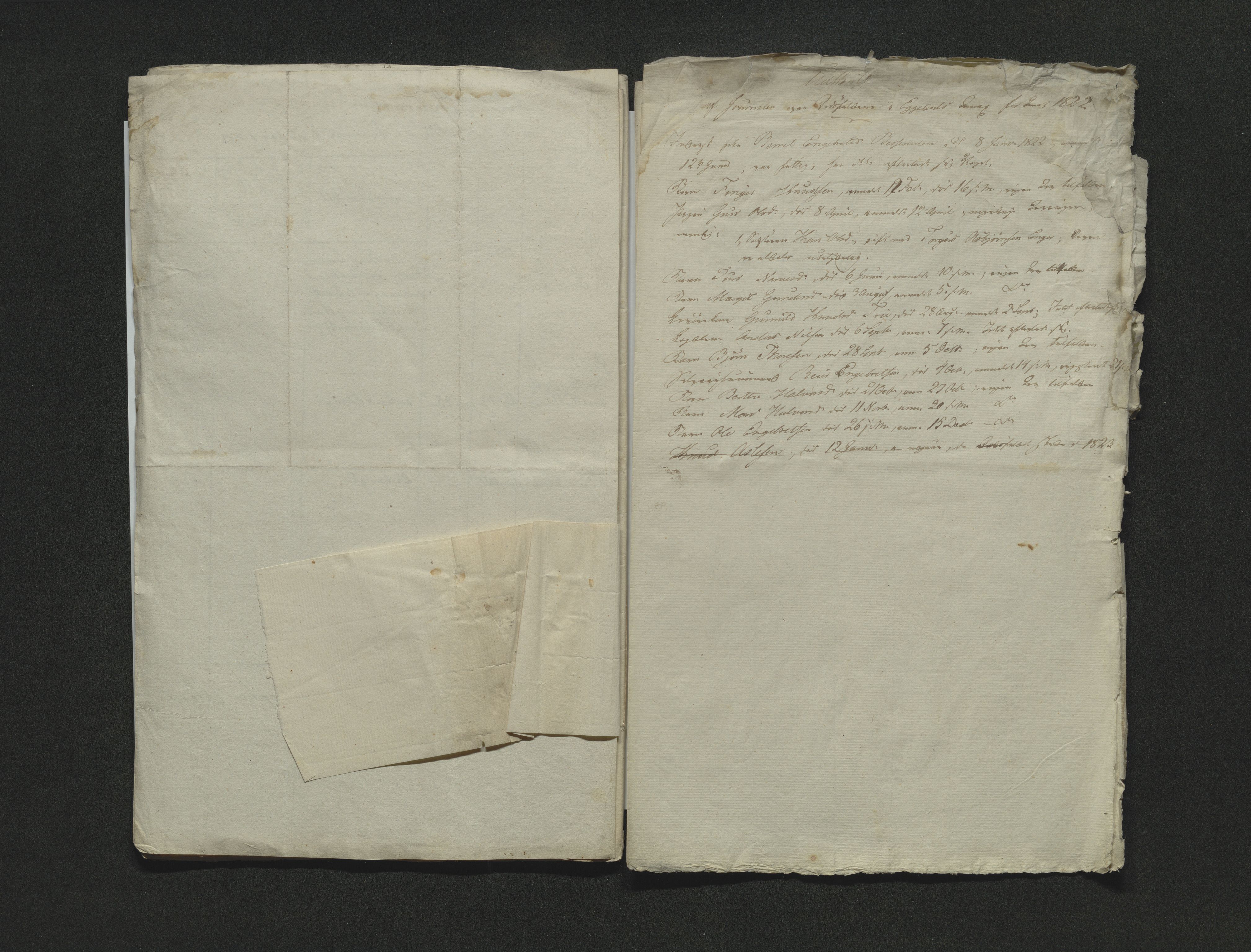 Eiker, Modum og Sigdal sorenskriveri, AV/SAKO-A-123/H/Ha/Hab/L0001: Dødsfallsmeldinger, 1812-1822, s. 312