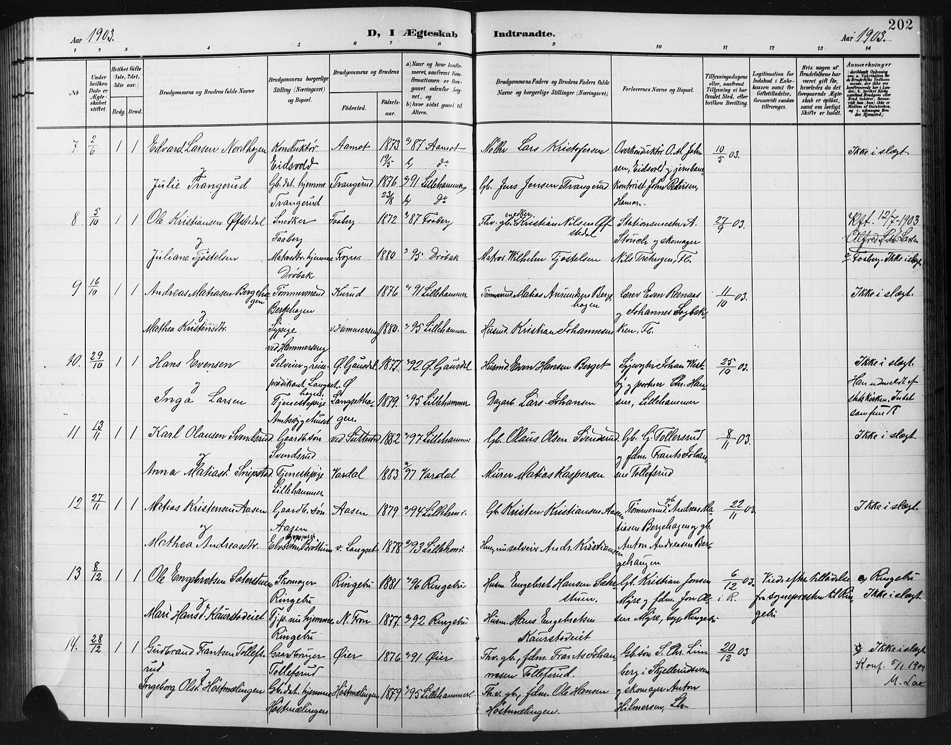 Fåberg prestekontor, AV/SAH-PREST-086/H/Ha/Hab/L0012: Klokkerbok nr. 12, 1903-1924, s. 202