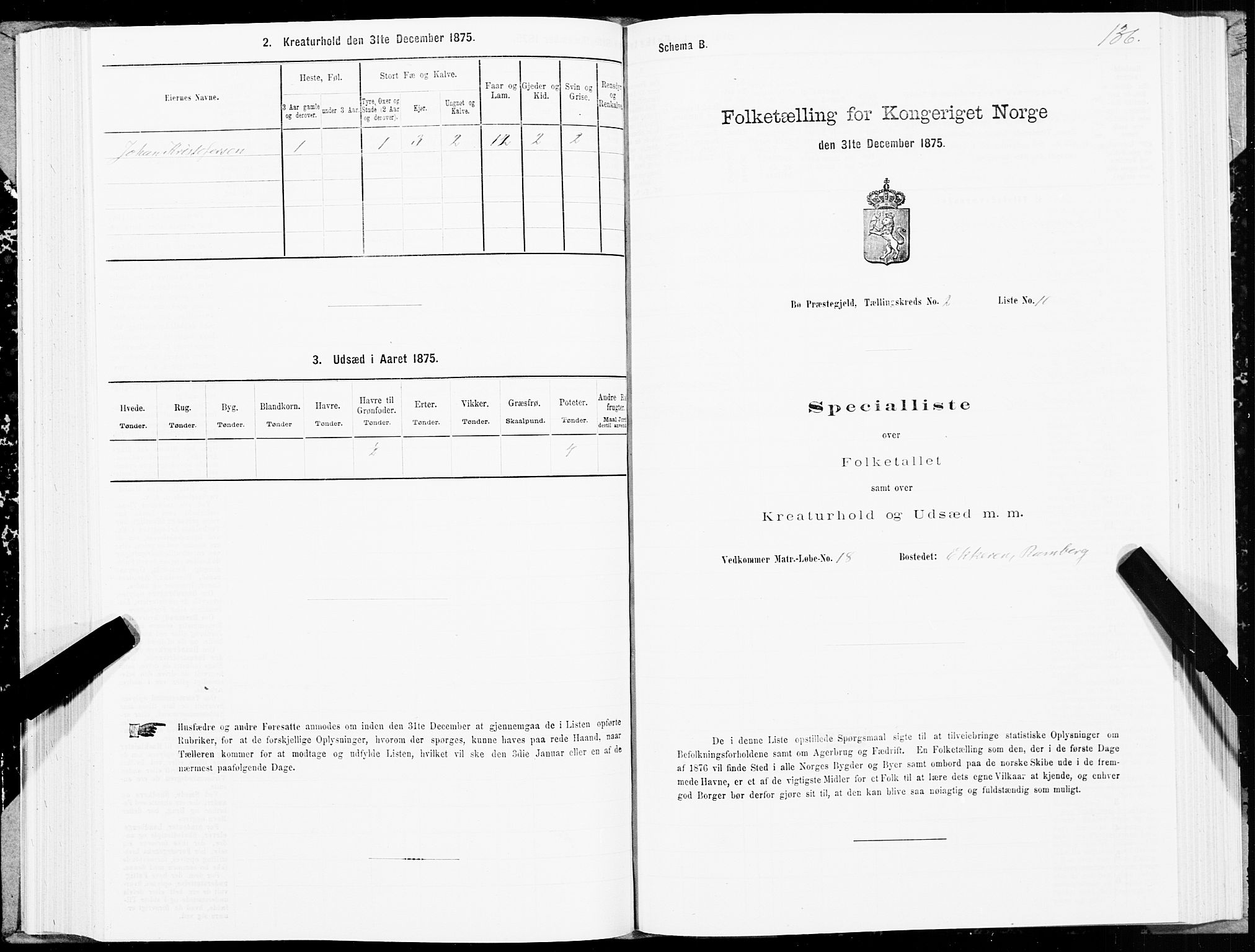 SAT, Folketelling 1875 for 1867P Bø prestegjeld, 1875, s. 1136