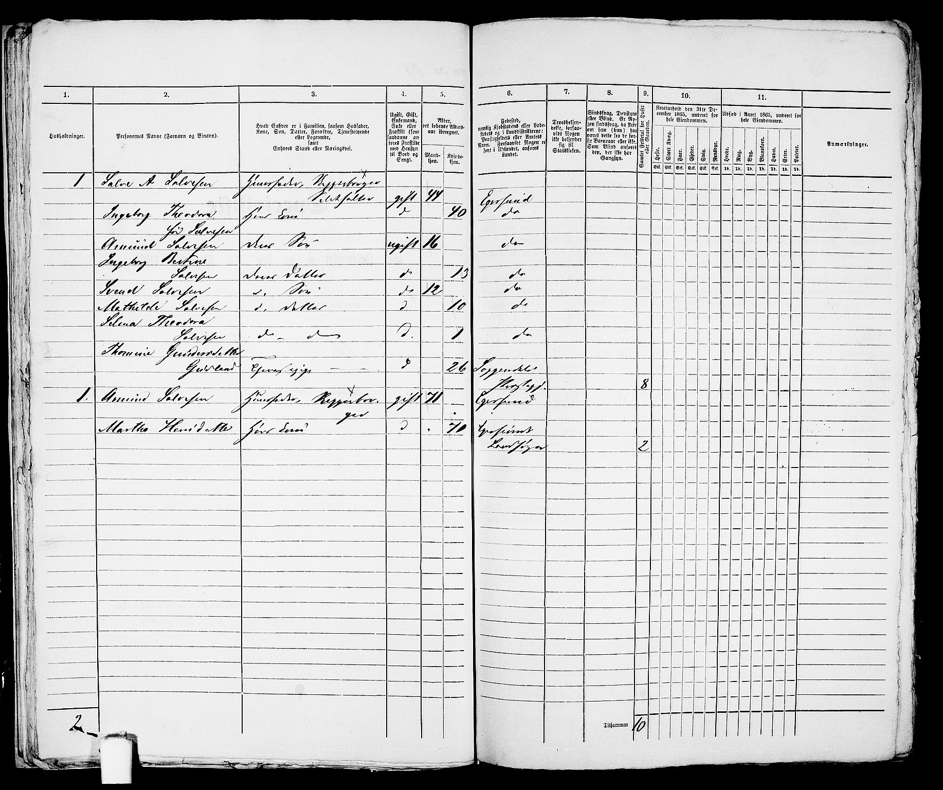 RA, Folketelling 1865 for 1101B Eigersund prestegjeld, Egersund ladested, 1865, s. 29