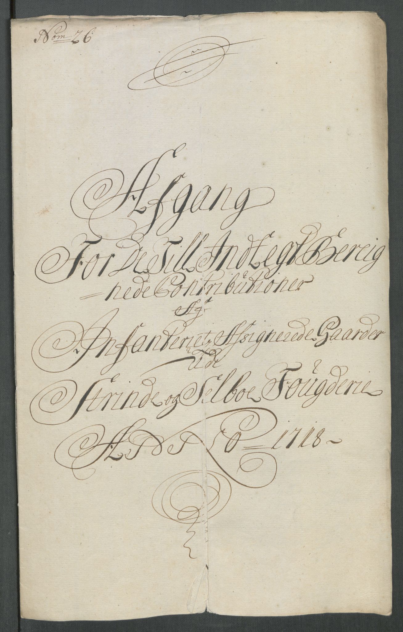 Rentekammeret inntil 1814, Reviderte regnskaper, Fogderegnskap, RA/EA-4092/R61/L4116: Fogderegnskap Strinda og Selbu, 1717-1718, s. 479