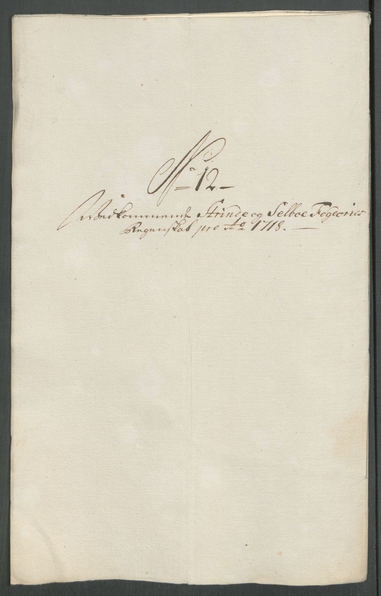 Rentekammeret inntil 1814, Reviderte regnskaper, Fogderegnskap, AV/RA-EA-4092/R61/L4116: Fogderegnskap Strinda og Selbu, 1717-1718, s. 420