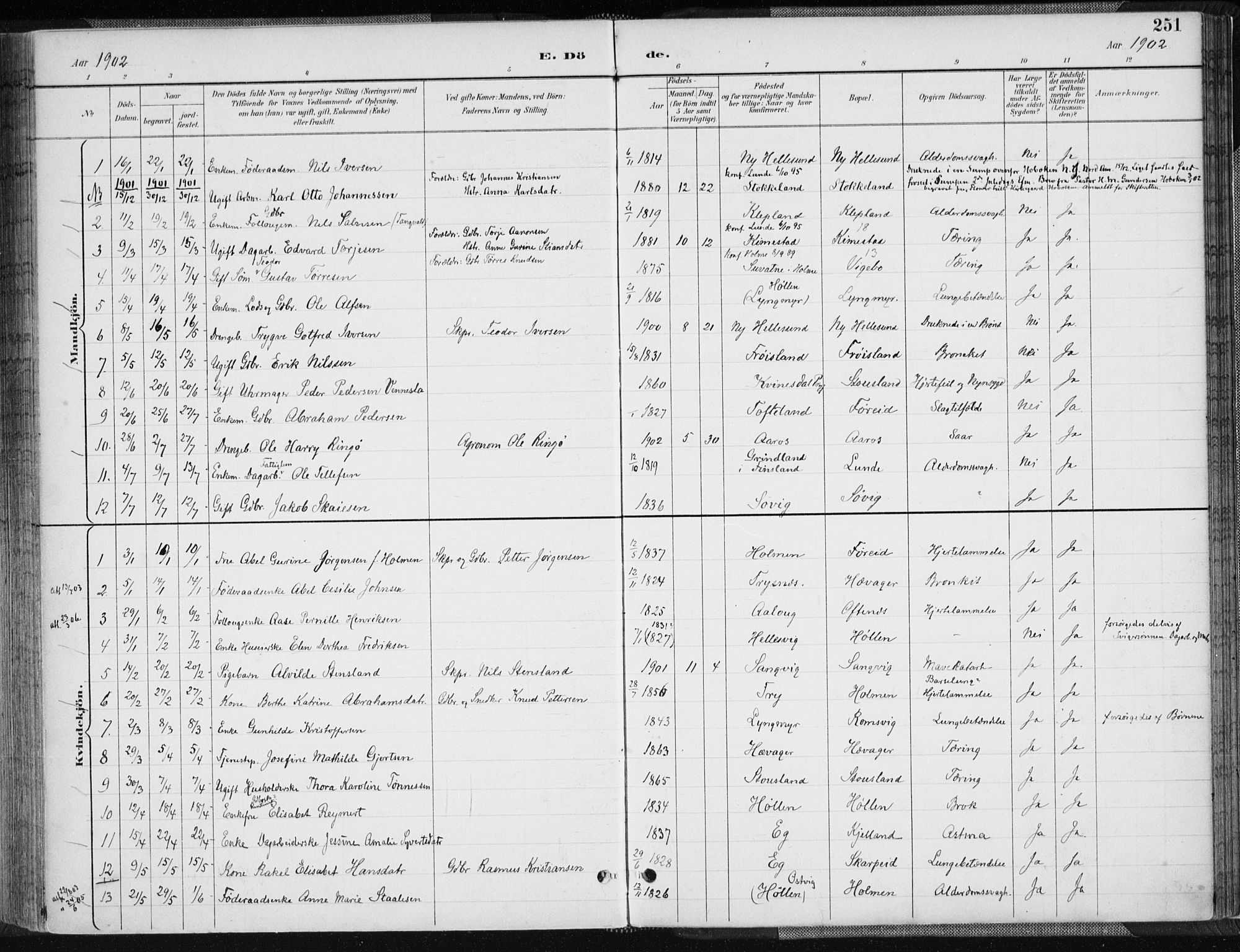 Søgne sokneprestkontor, AV/SAK-1111-0037/F/Fa/Fab/L0013: Ministerialbok nr. A 13, 1892-1911, s. 251