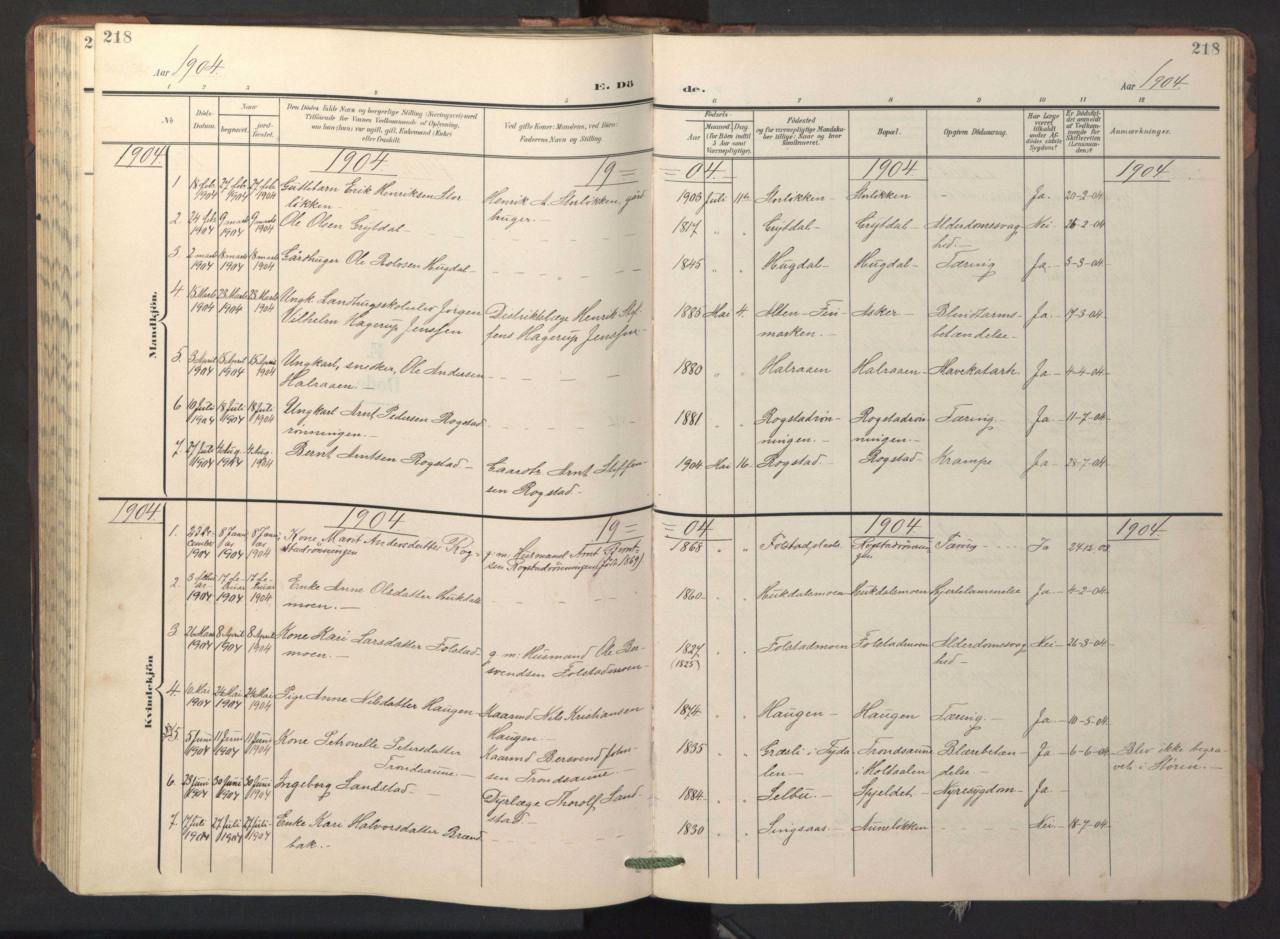 Ministerialprotokoller, klokkerbøker og fødselsregistre - Sør-Trøndelag, SAT/A-1456/687/L1019: Klokkerbok nr. 687C03, 1904-1931, s. 218