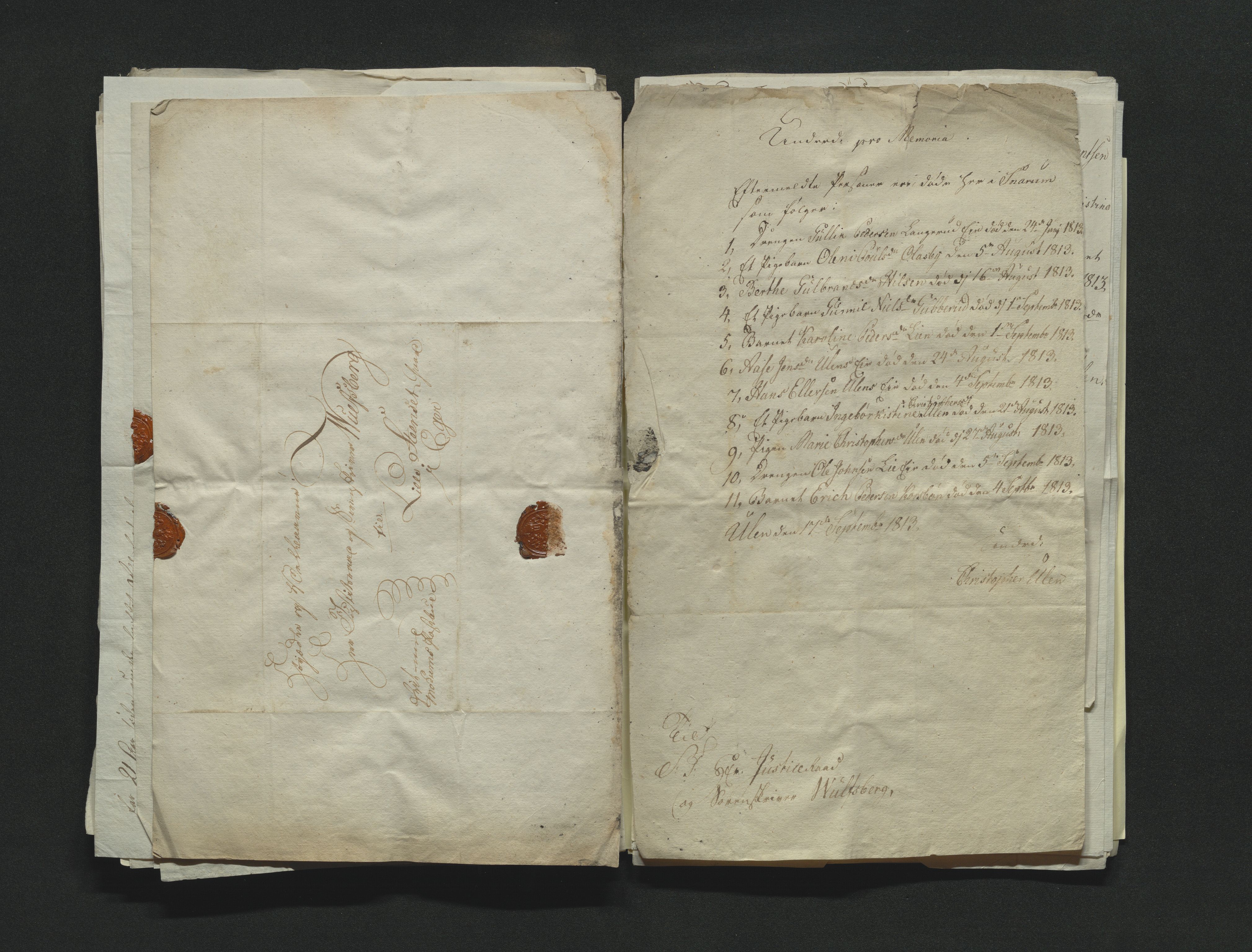 Eiker, Modum og Sigdal sorenskriveri, AV/SAKO-A-123/H/Ha/Hab/L0001: Dødsfallsmeldinger, 1812-1822, s. 92