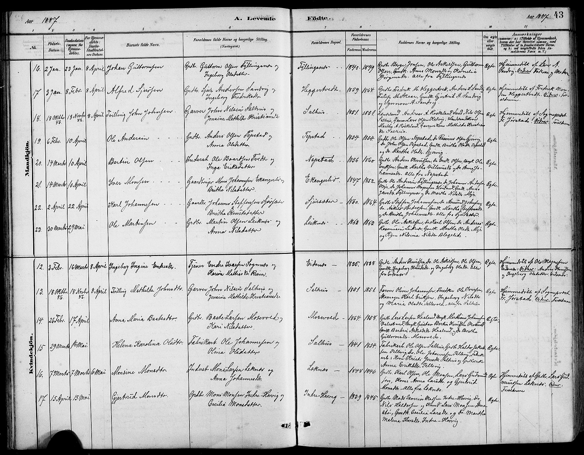 Hamre sokneprestembete, AV/SAB-A-75501/H/Ha/Hab: Klokkerbok nr. B 3, 1881-1898, s. 43