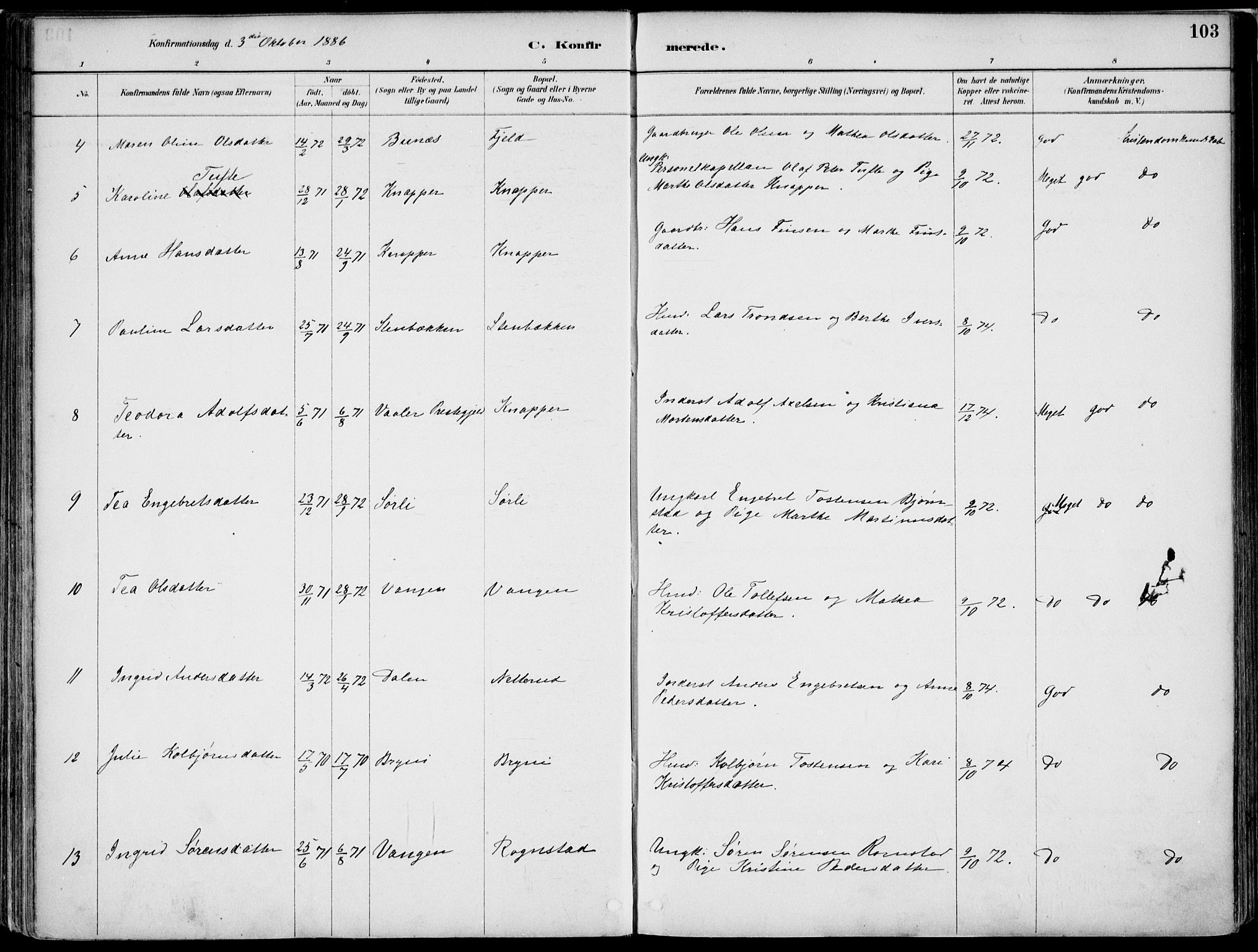 Nord-Odal prestekontor, AV/SAH-PREST-032/H/Ha/Haa/L0008: Ministerialbok nr. 8, 1886-1901, s. 103