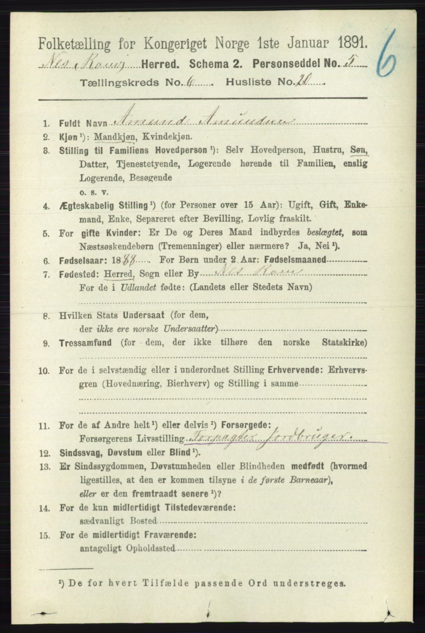 RA, Folketelling 1891 for 0236 Nes herred, 1891, s. 3498