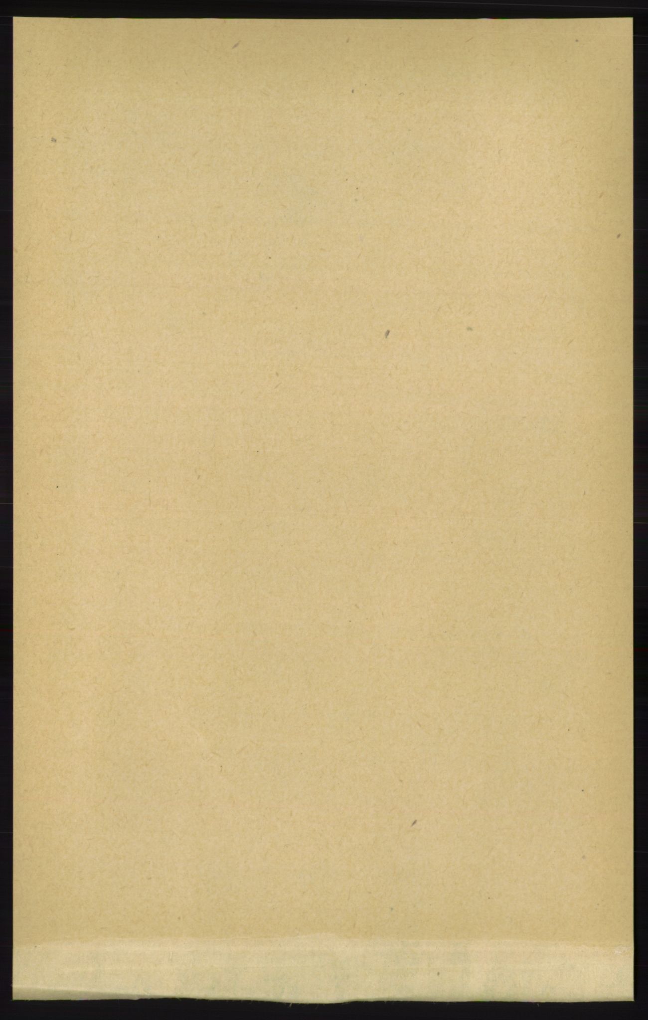 RA, Folketelling 1891 for 1154 Skjold herred, 1891, s. 1595