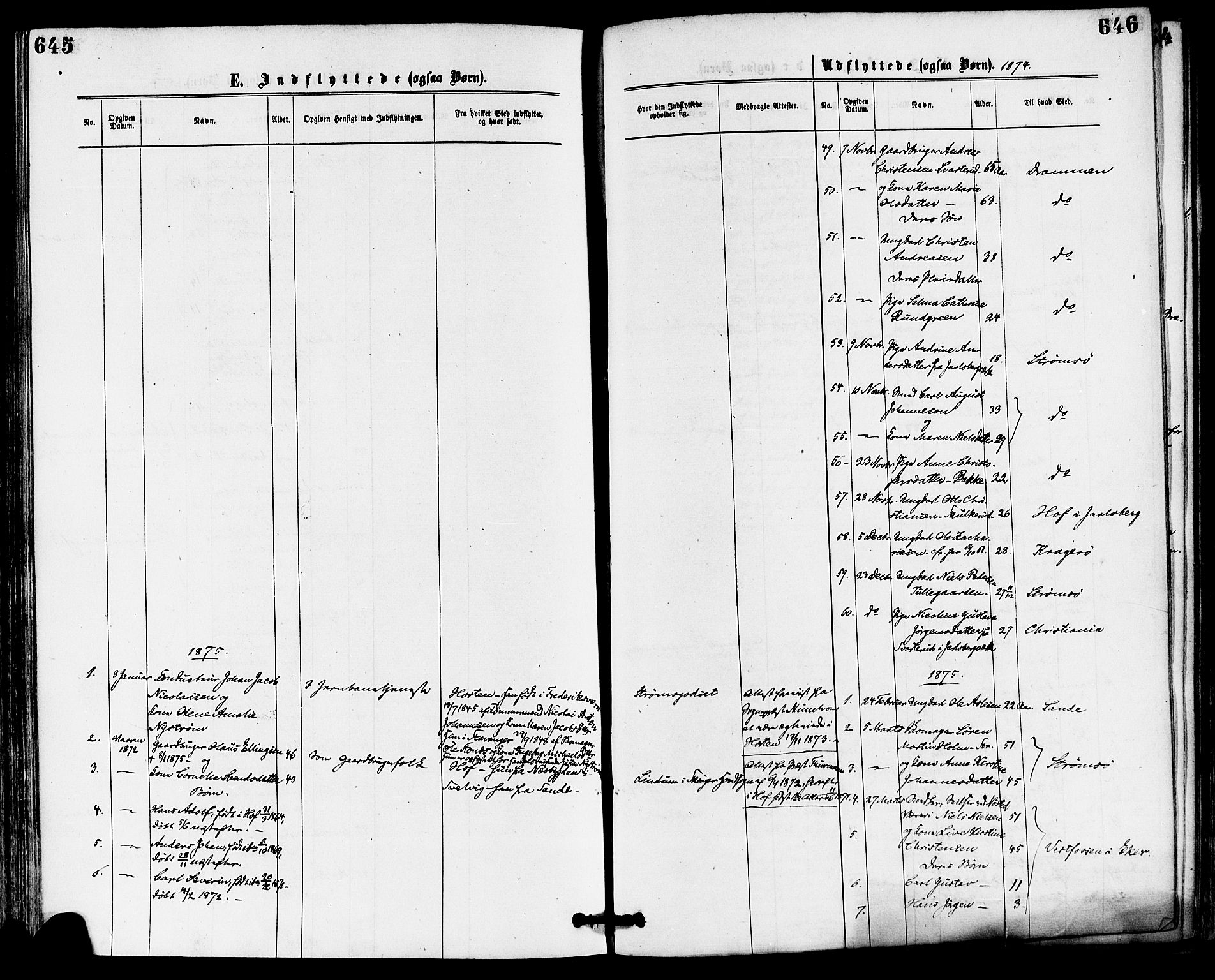 Skoger kirkebøker, SAKO/A-59/F/Fa/L0005: Ministerialbok nr. I 5, 1873-1884, s. 645-646