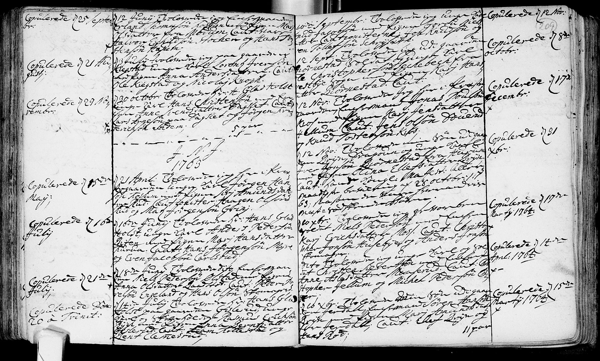 Røyken kirkebøker, SAKO/A-241/F/Fa/L0002: Ministerialbok nr. 2, 1731-1782, s. 209