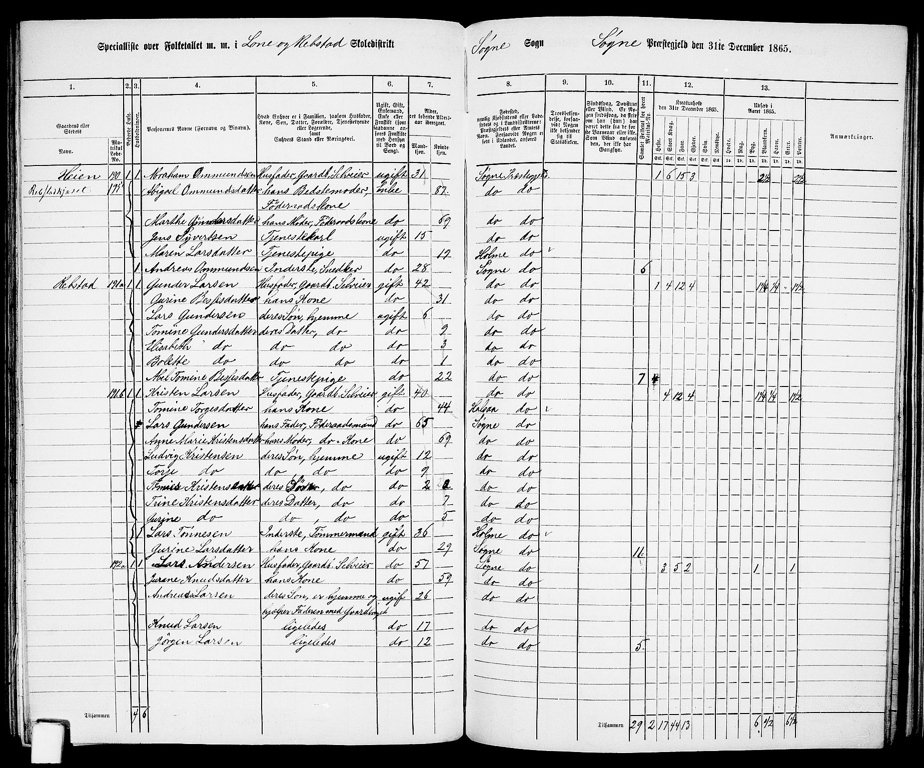 RA, Folketelling 1865 for 1018P Søgne prestegjeld, 1865, s. 118