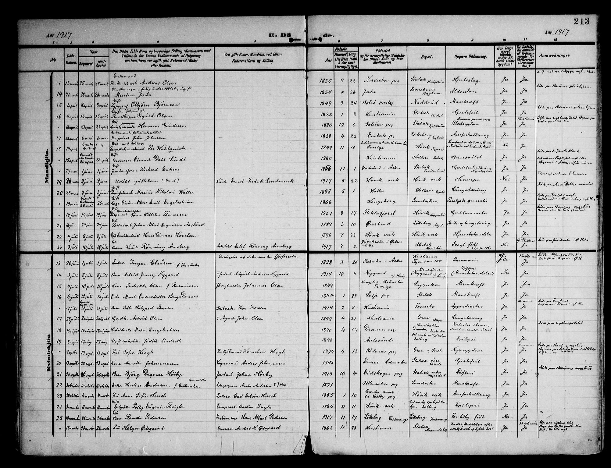 Østre Bærum prestekontor Kirkebøker, AV/SAO-A-10887/F/Fa/L0001: Ministerialbok nr. 1, 1905-1924, s. 213