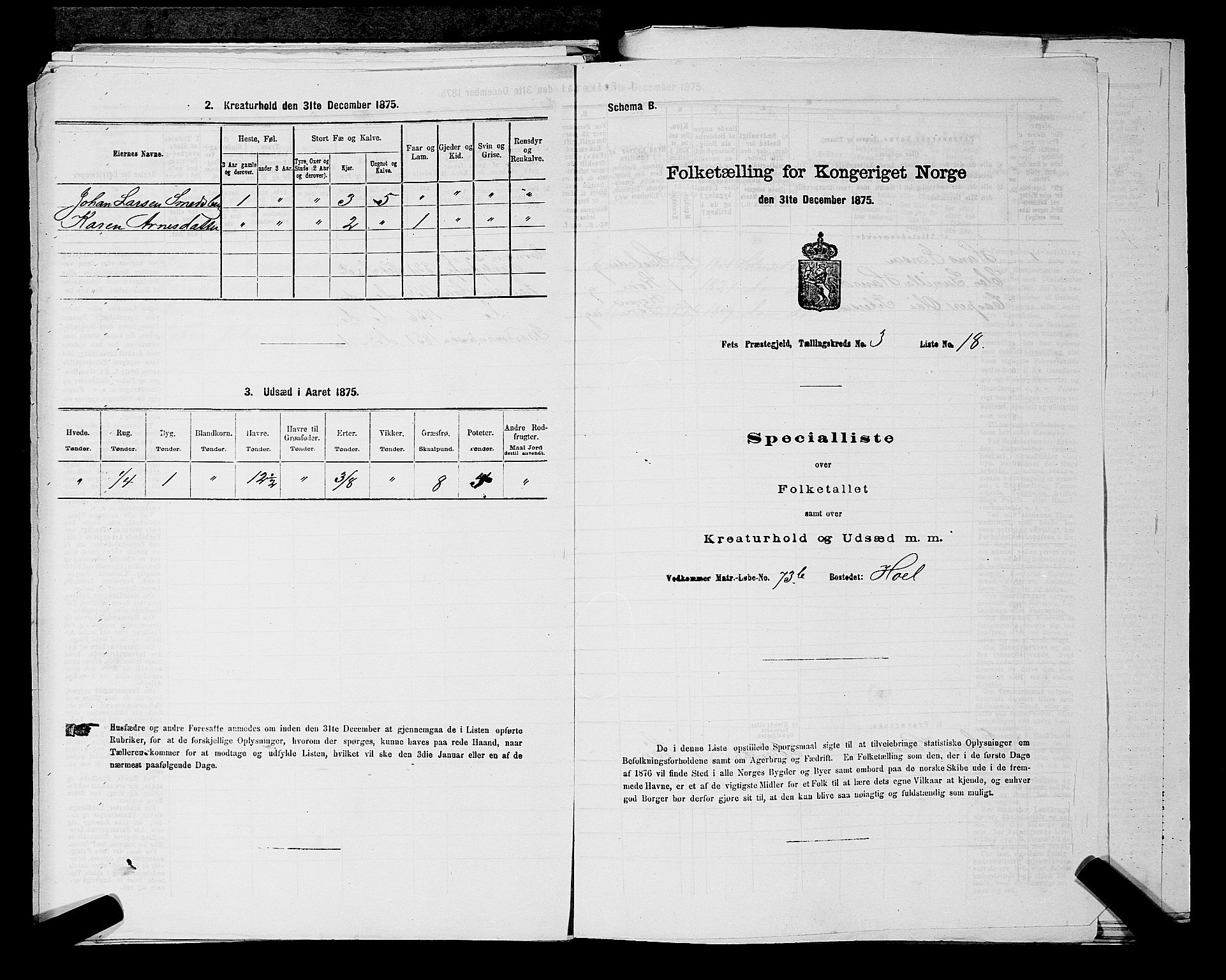 RA, Folketelling 1875 for 0227P Fet prestegjeld, 1875, s. 439