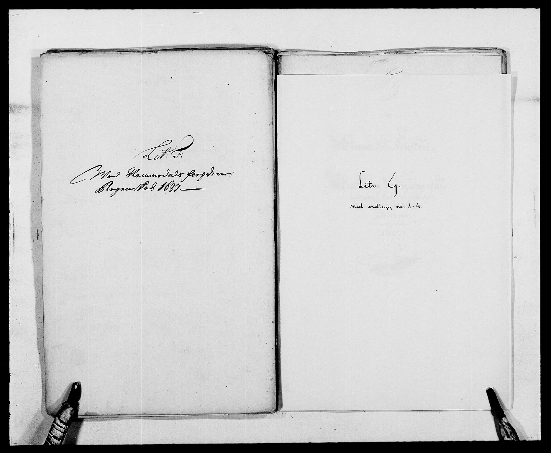 Rentekammeret inntil 1814, Reviderte regnskaper, Fogderegnskap, AV/RA-EA-4092/R64/L4422: Fogderegnskap Namdal, 1687-1689, s. 29