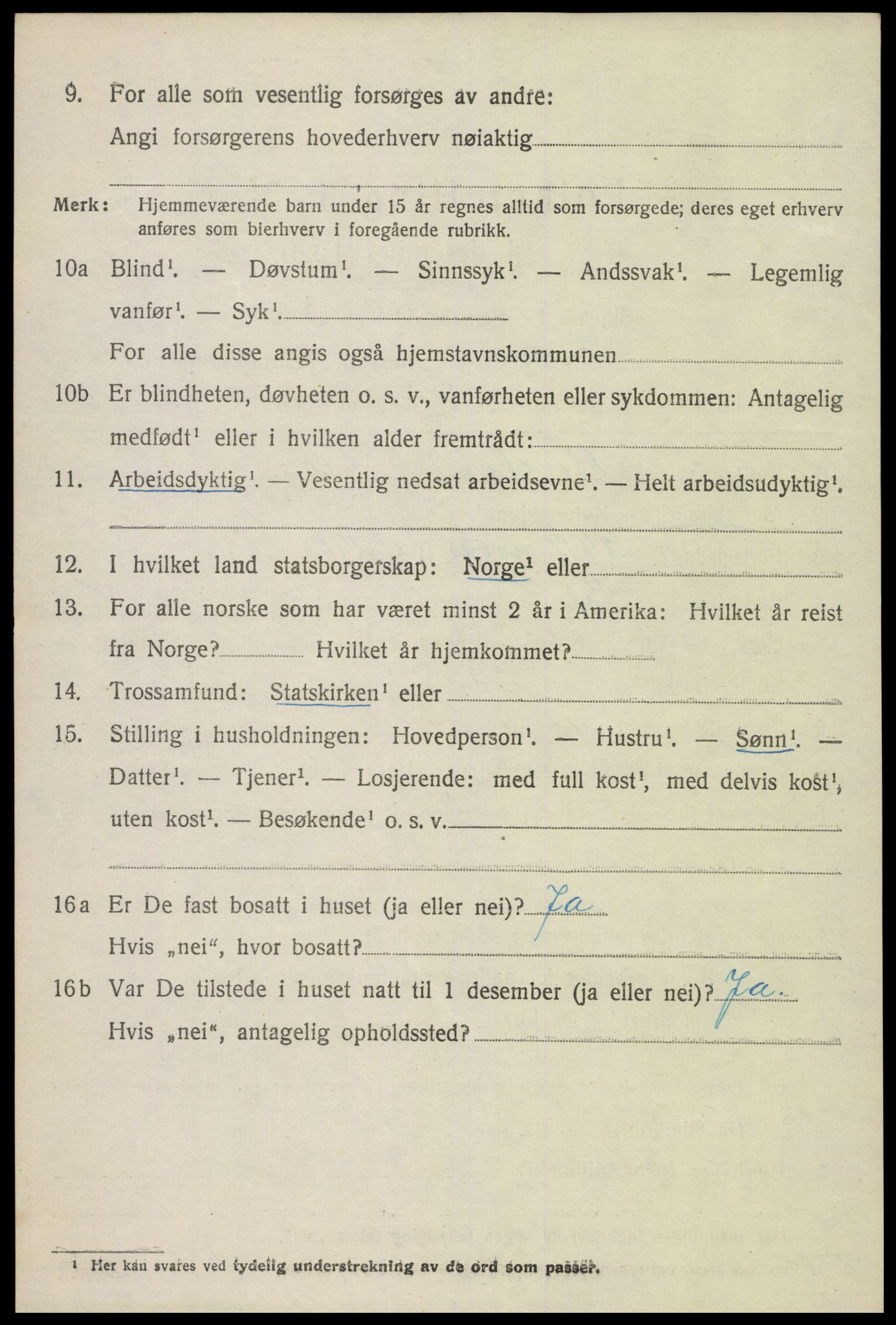 SAK, Folketelling 1920 for 0936 Hornnes herred, 1920, s. 3036