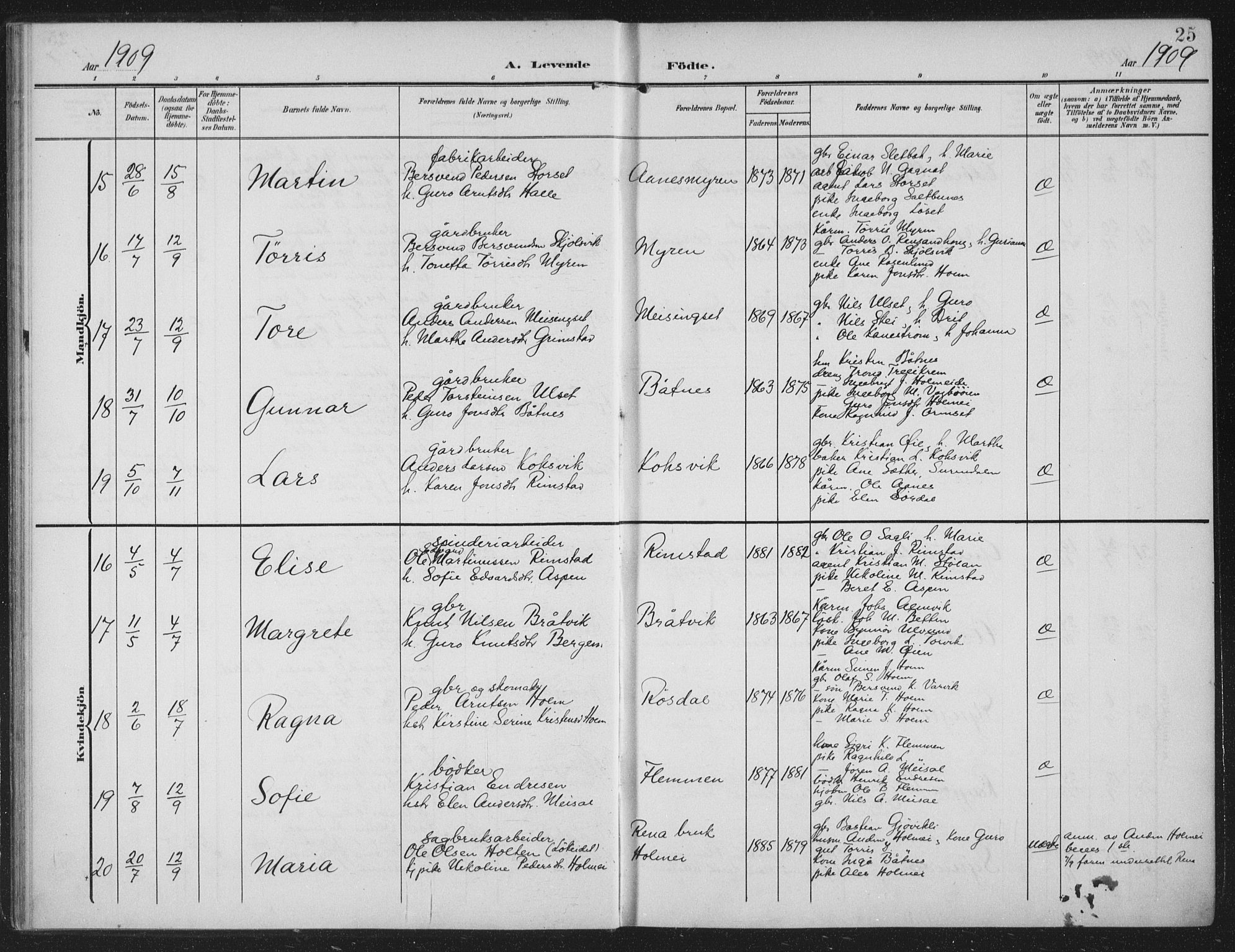 Ministerialprotokoller, klokkerbøker og fødselsregistre - Møre og Romsdal, AV/SAT-A-1454/586/L0989: Ministerialbok nr. 586A15, 1906-1915, s. 25