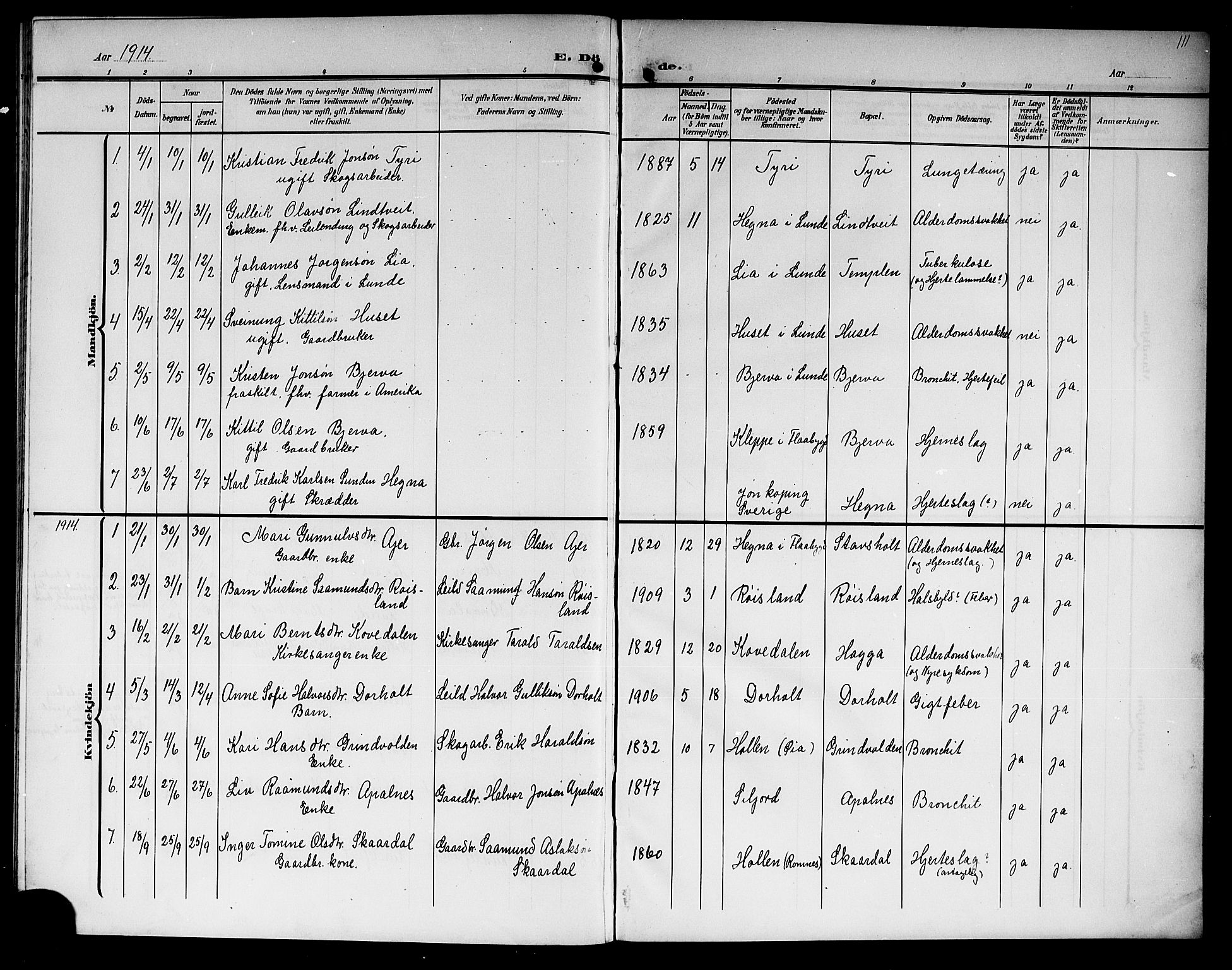 Lunde kirkebøker, AV/SAKO-A-282/G/Ga/L0004: Klokkerbok nr. I 4, 1906-1914, s. 111