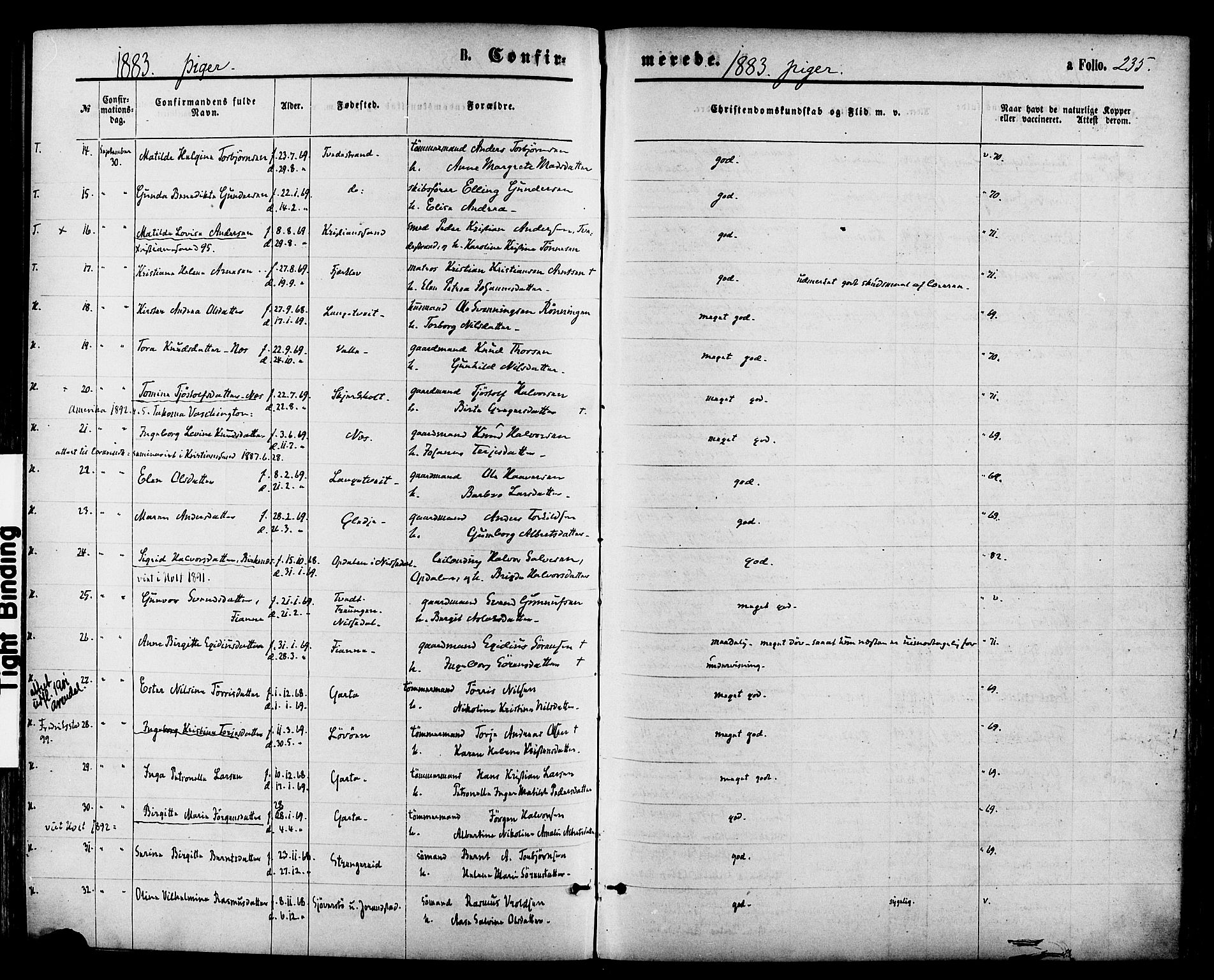 Holt sokneprestkontor, AV/SAK-1111-0021/F/Fa/L0010: Ministerialbok nr. A 10, 1872-1885, s. 235