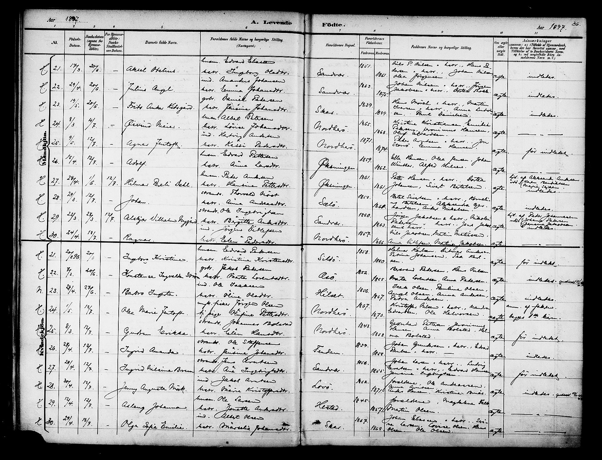 Ministerialprotokoller, klokkerbøker og fødselsregistre - Nordland, AV/SAT-A-1459/834/L0508: Ministerialbok nr. 834A06, 1892-1901, s. 36