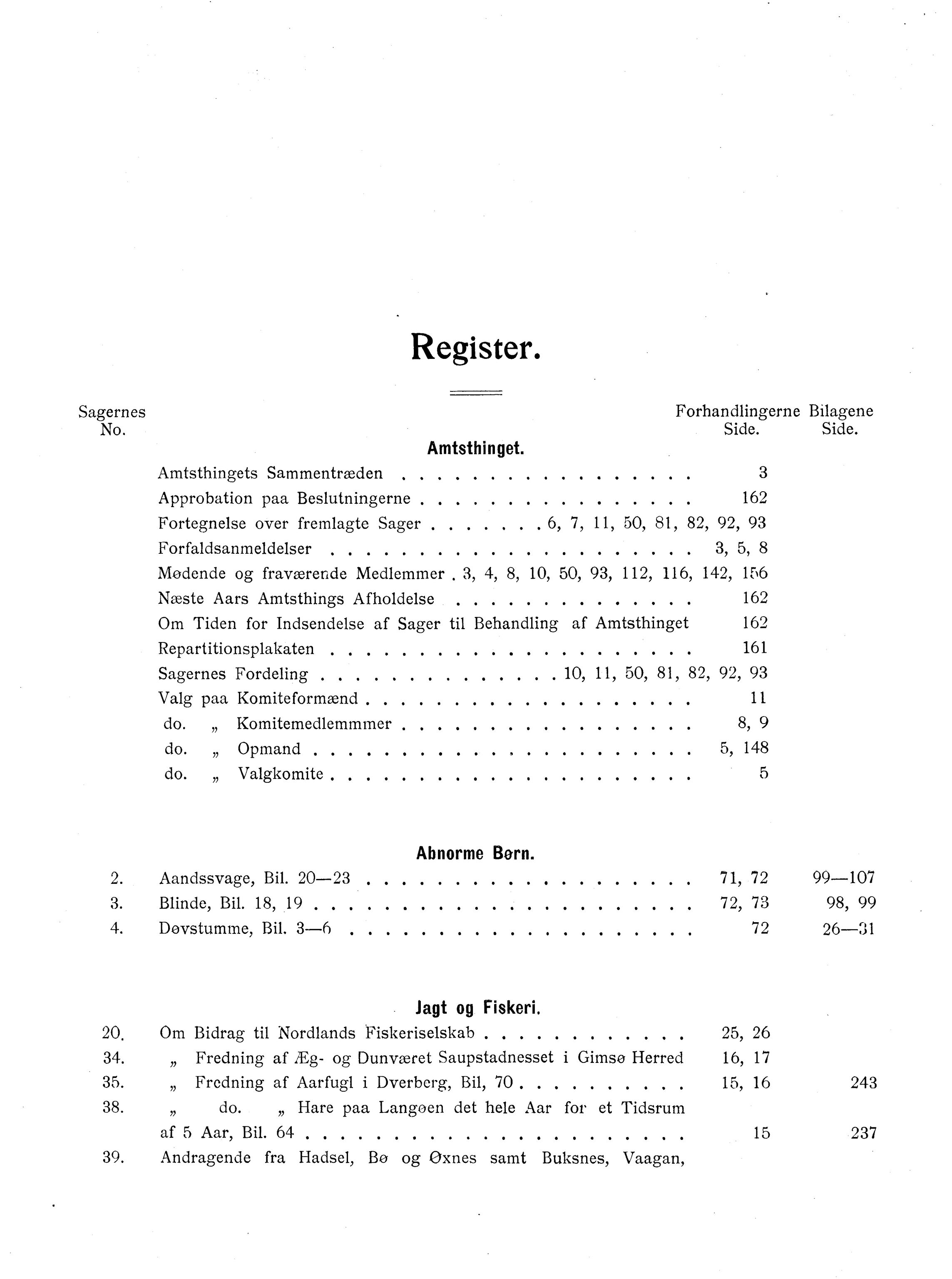 Nordland Fylkeskommune. Fylkestinget, AIN/NFK-17/176/A/Ac/L0028: Fylkestingsforhandlinger 1905, 1905