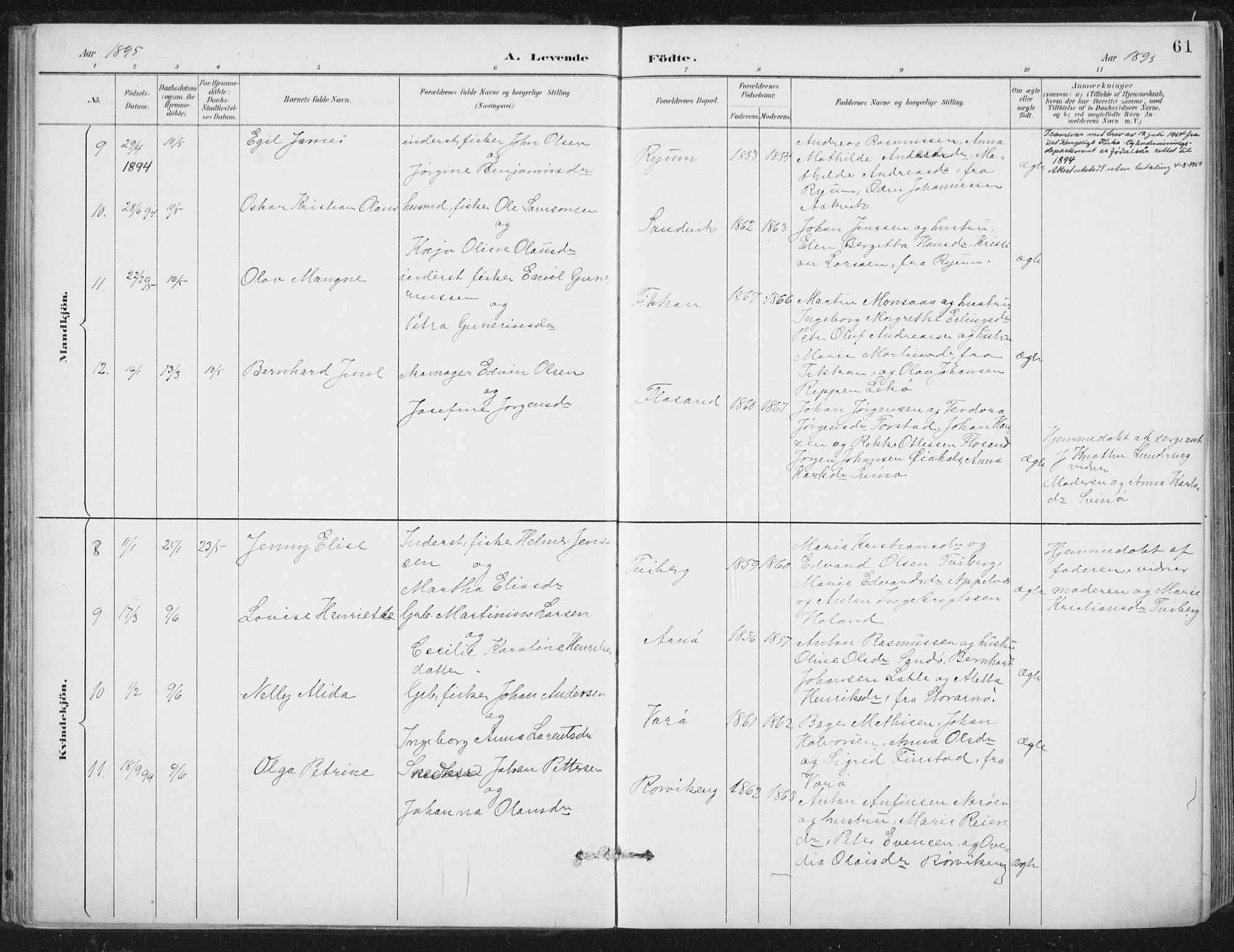 Ministerialprotokoller, klokkerbøker og fødselsregistre - Nord-Trøndelag, SAT/A-1458/784/L0673: Ministerialbok nr. 784A08, 1888-1899, s. 61