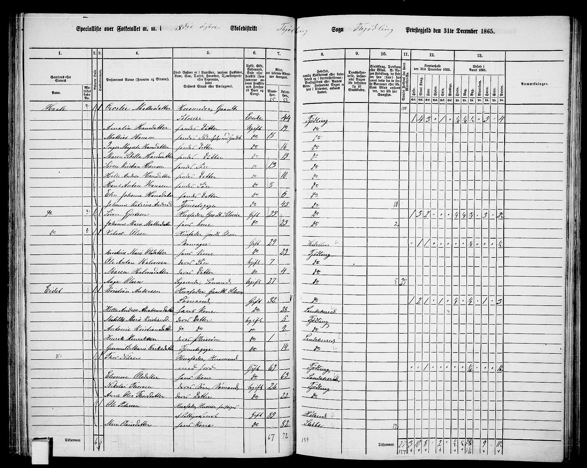 RA, Folketelling 1865 for 0725P Tjølling prestegjeld, 1865, s. 106