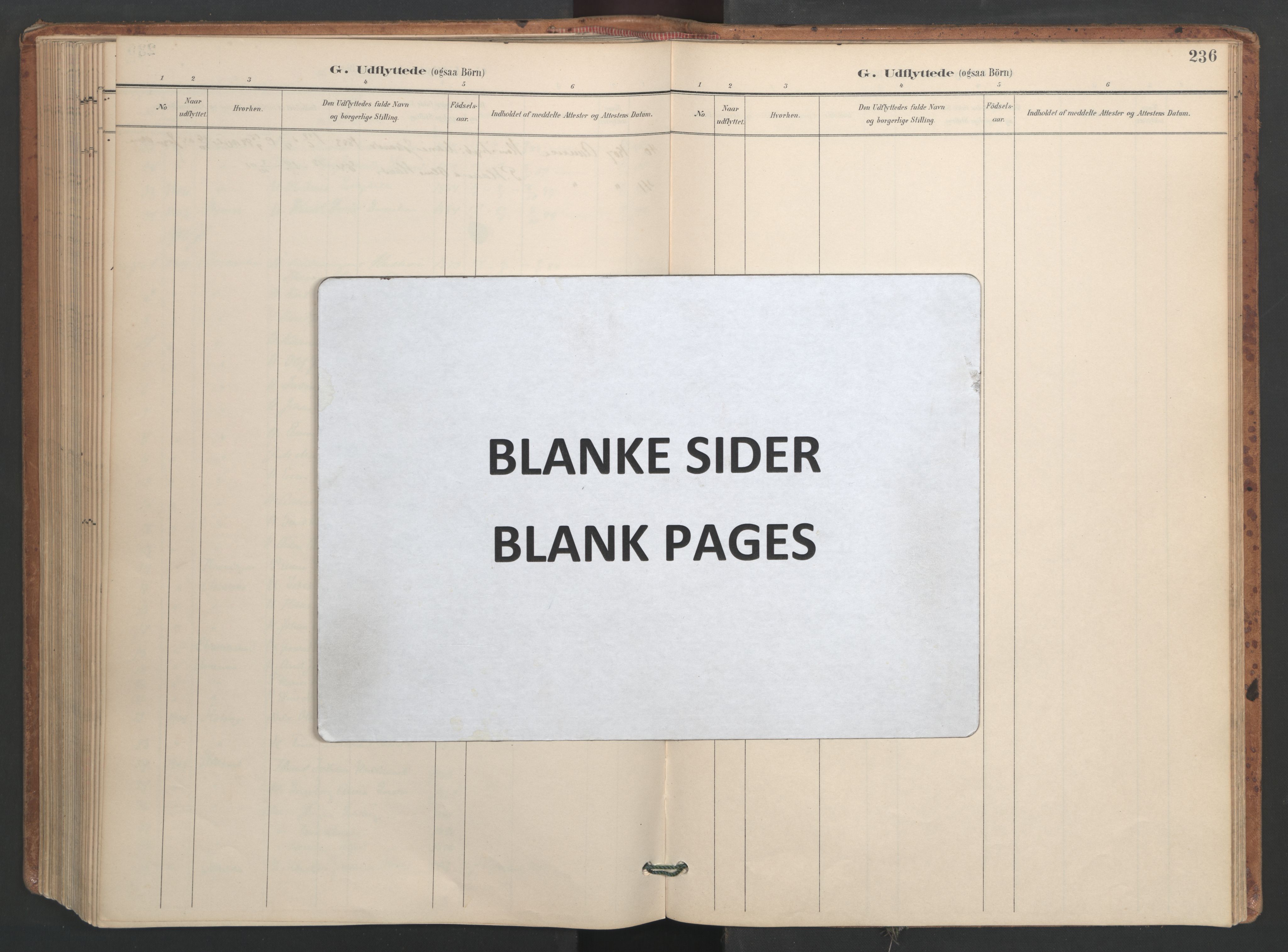 Ministerialprotokoller, klokkerbøker og fødselsregistre - Sør-Trøndelag, AV/SAT-A-1456/655/L0681: Ministerialbok nr. 655A10, 1895-1907, s. 236