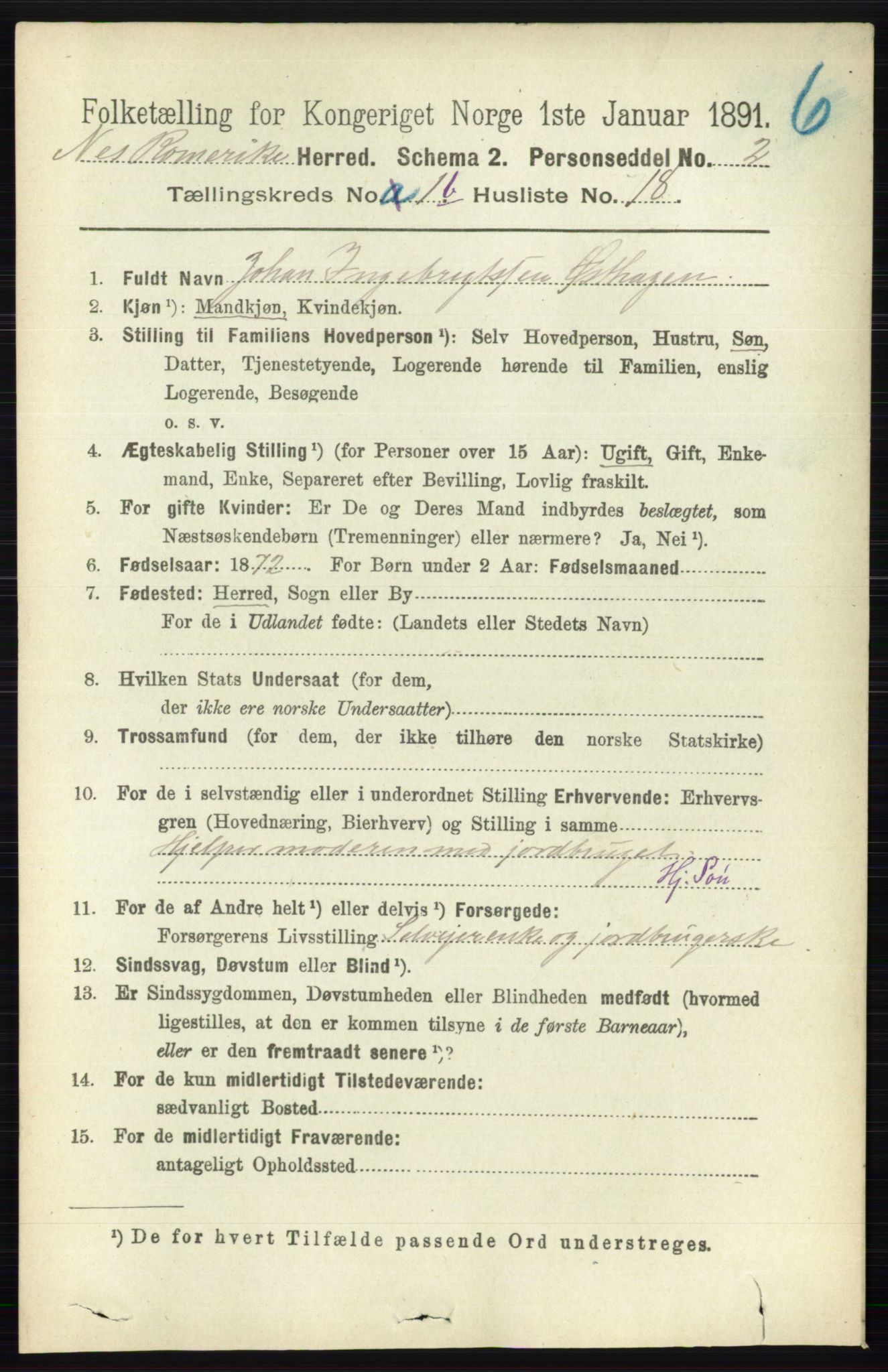 RA, Folketelling 1891 for 0236 Nes herred, 1891, s. 821