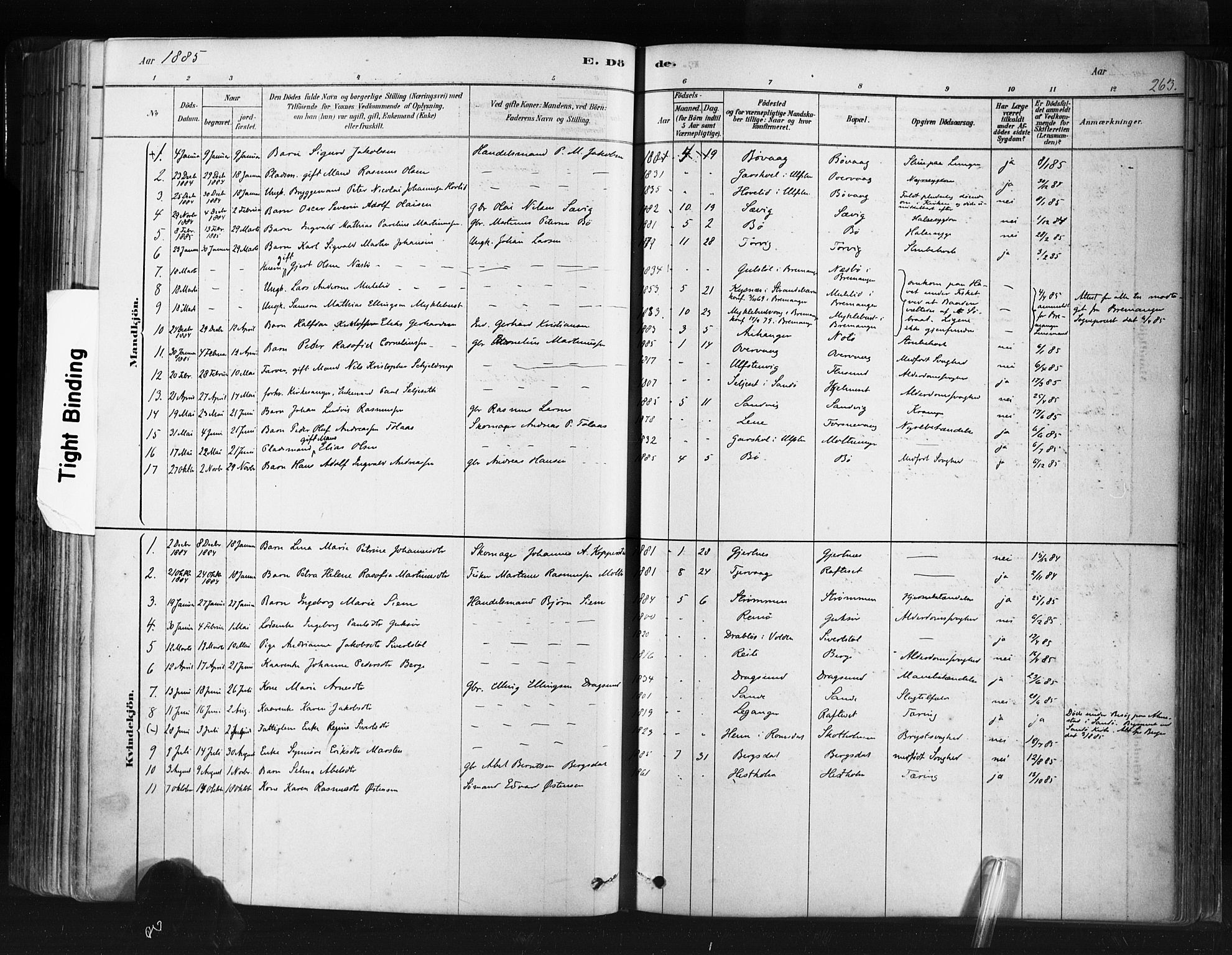 Ministerialprotokoller, klokkerbøker og fødselsregistre - Møre og Romsdal, SAT/A-1454/507/L0073: Ministerialbok nr. 507A08, 1878-1904, s. 263