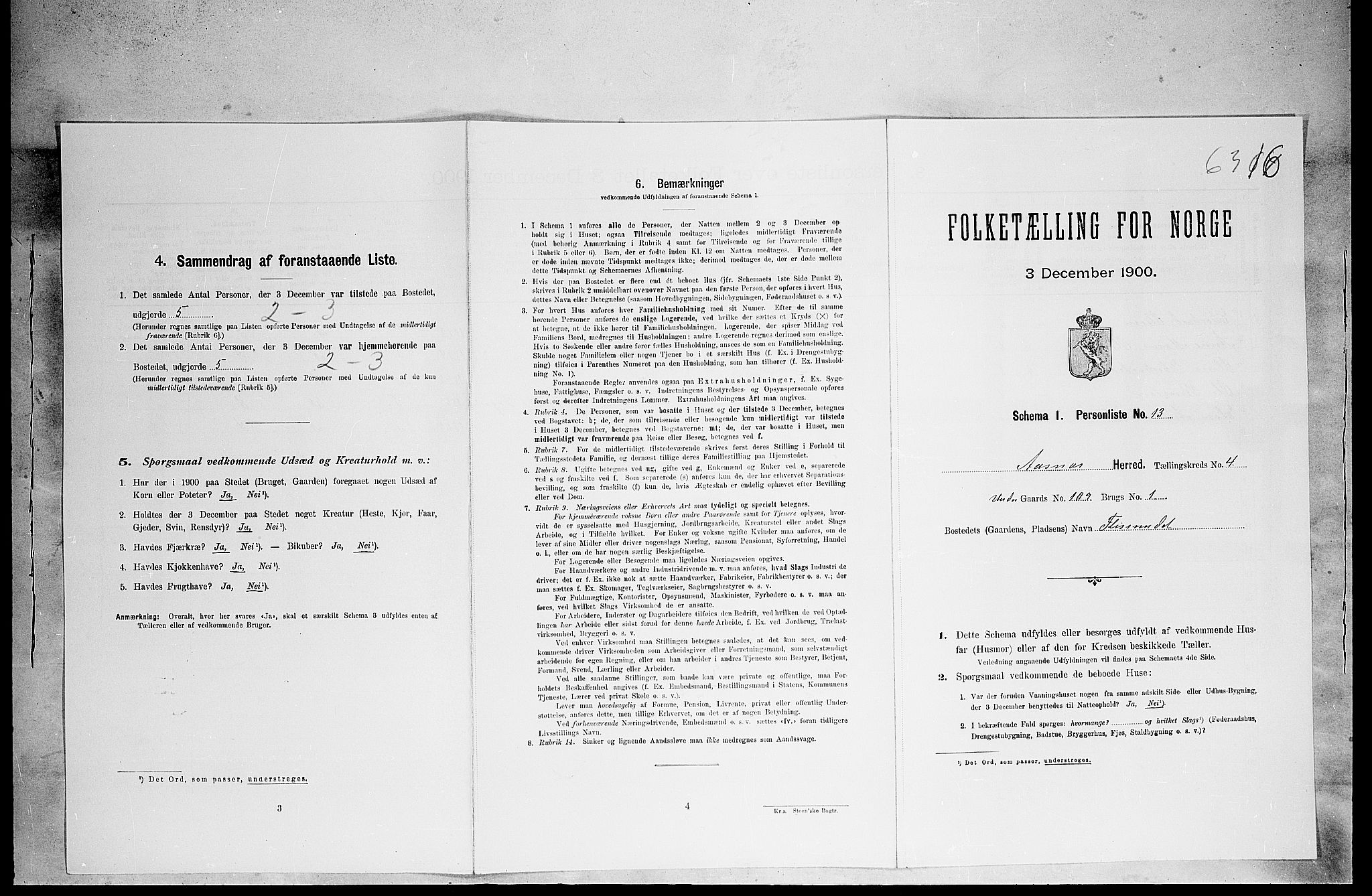 SAH, Folketelling 1900 for 0425 Åsnes herred, 1900, s. 592
