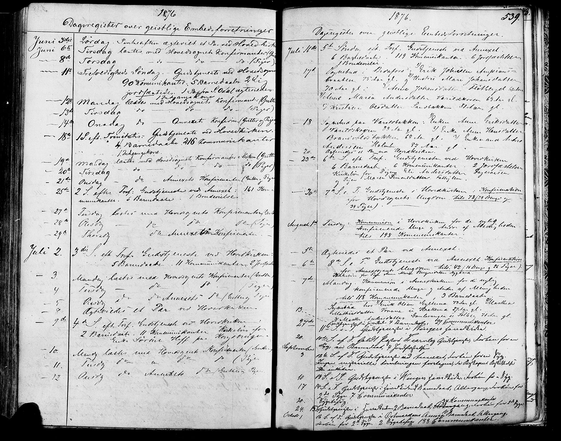 Vinger prestekontor, AV/SAH-PREST-024/H/Ha/Haa/L0012: Ministerialbok nr. 12, 1871-1880, s. 539