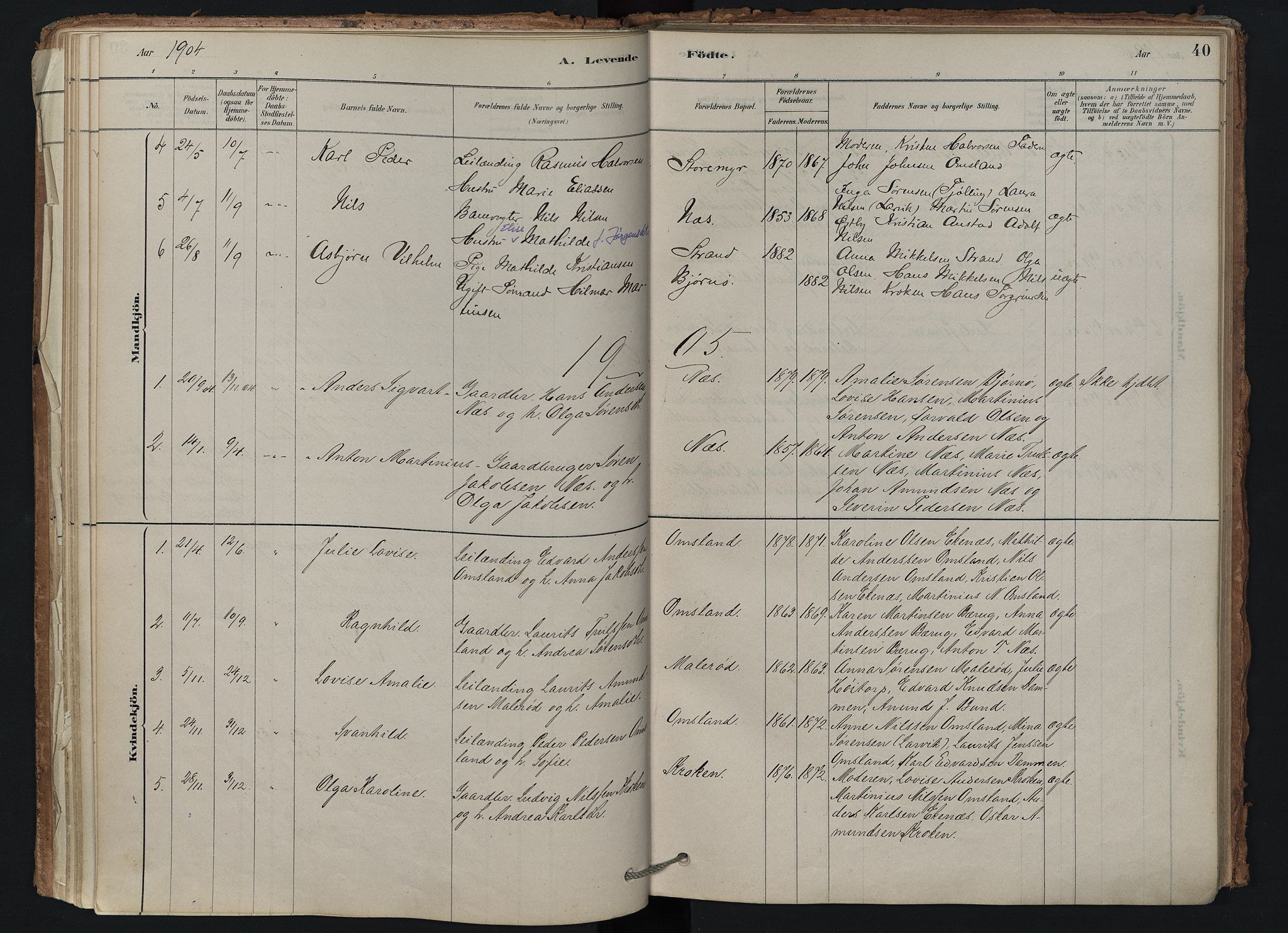 Brunlanes kirkebøker, AV/SAKO-A-342/F/Fd/L0001: Ministerialbok nr. IV 1, 1878-1917, s. 40