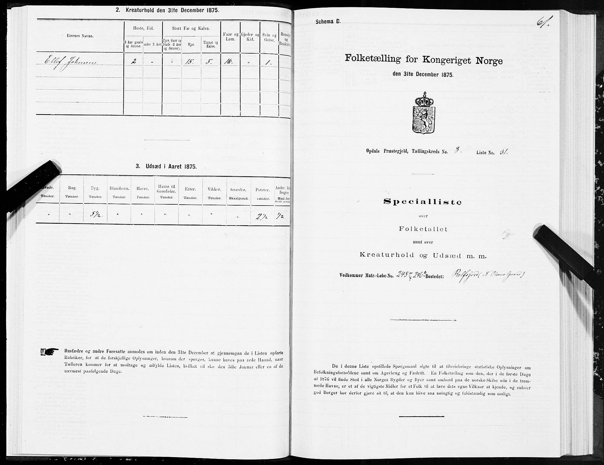 SAT, Folketelling 1875 for 1634P Oppdal prestegjeld, 1875, s. 5061
