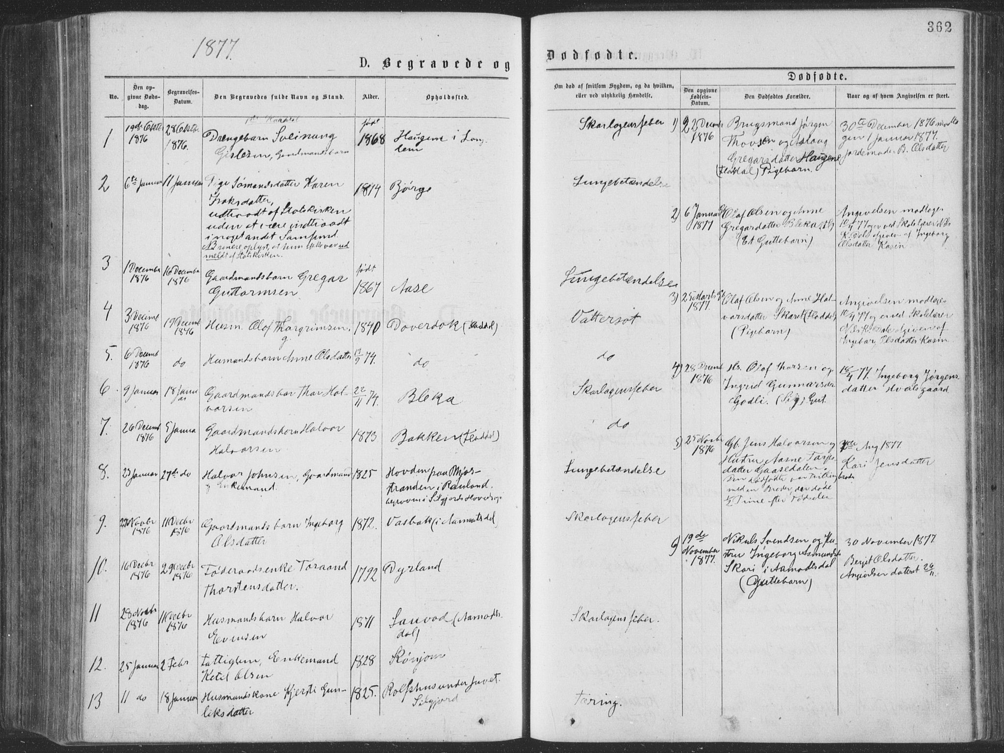 Seljord kirkebøker, AV/SAKO-A-20/F/Fa/L0014: Ministerialbok nr. I 14, 1877-1886, s. 362