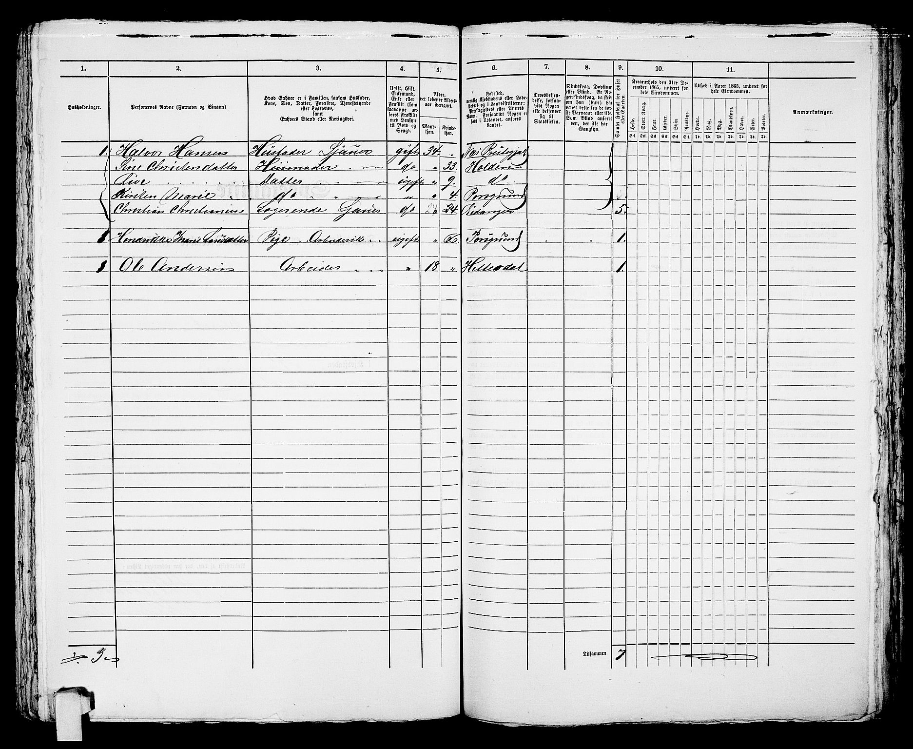 RA, Folketelling 1865 for 0805P Porsgrunn prestegjeld, 1865, s. 255